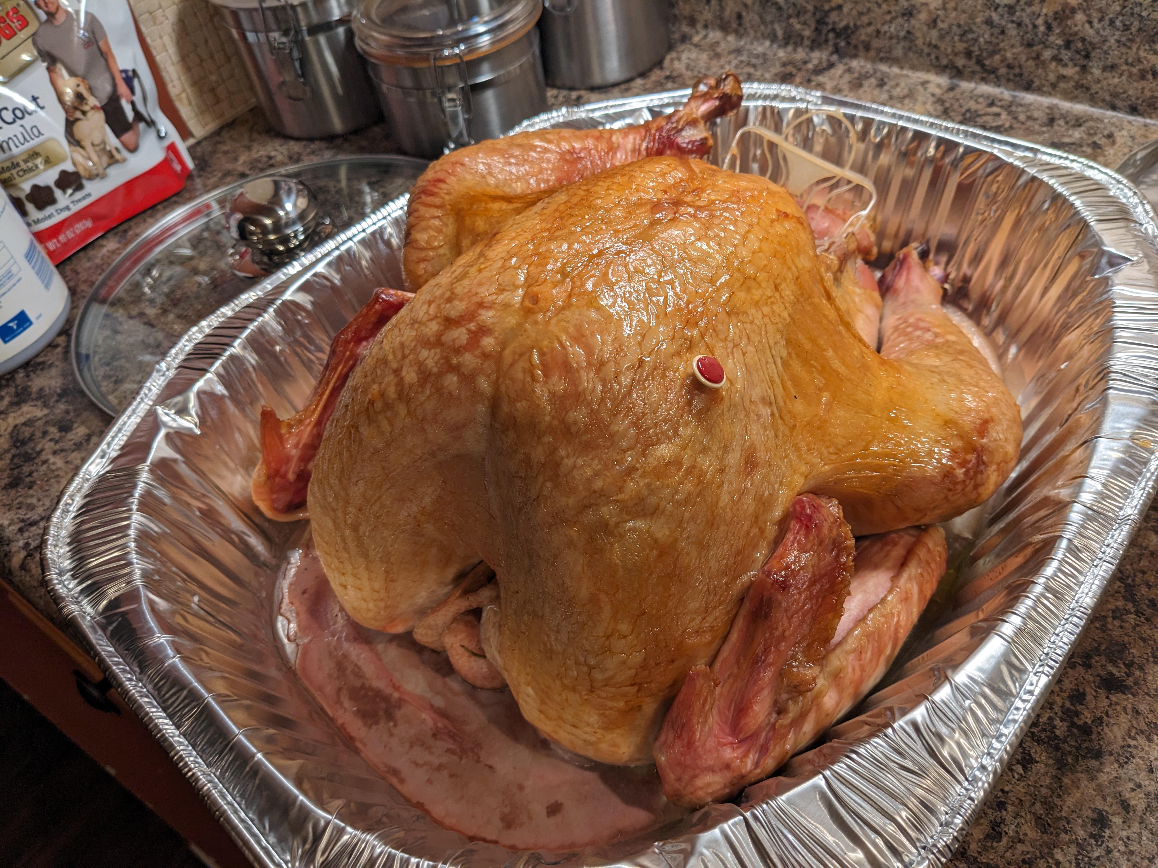 PXL 20231124 001116892