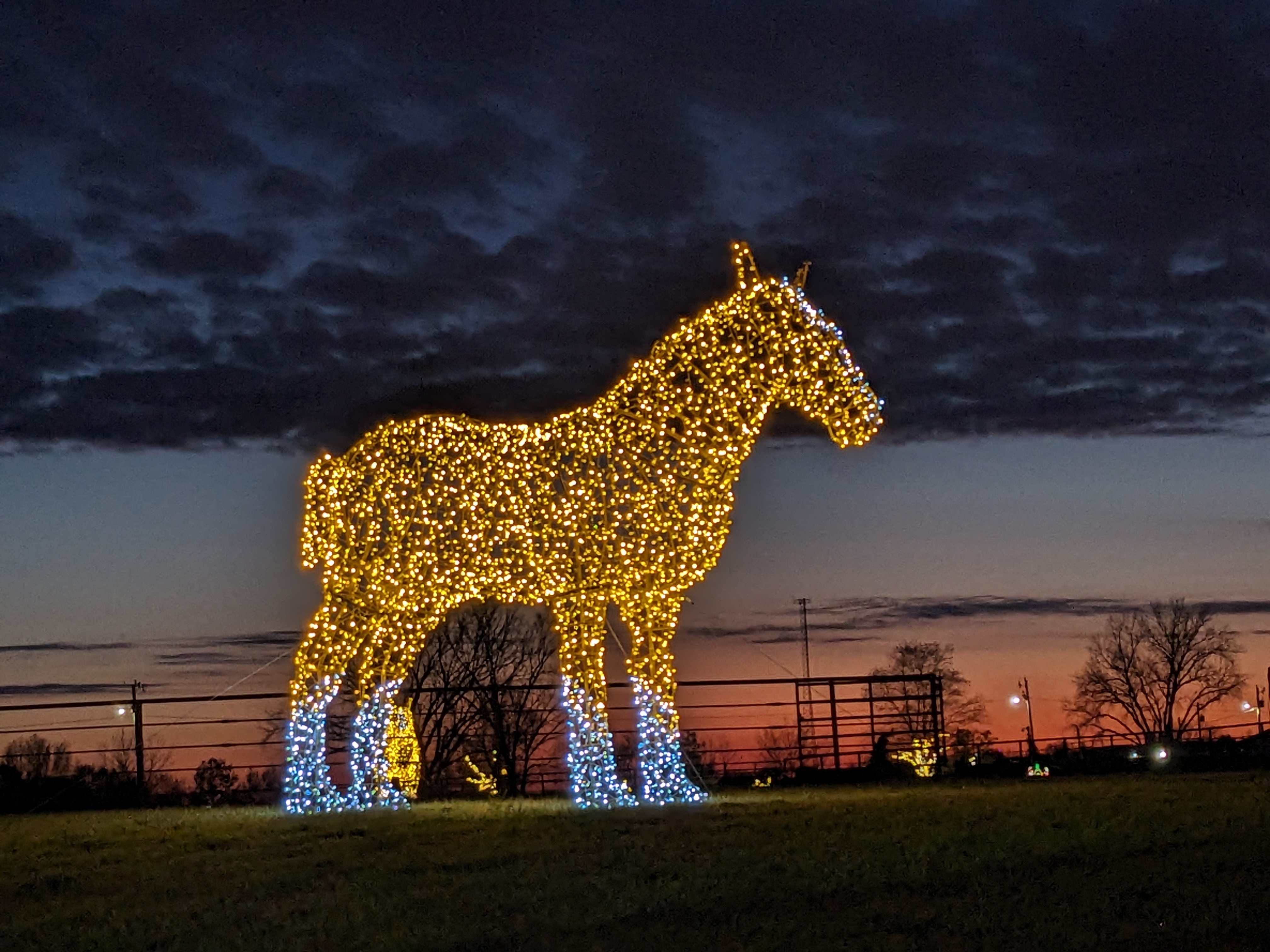 PXL 20241129 232718255