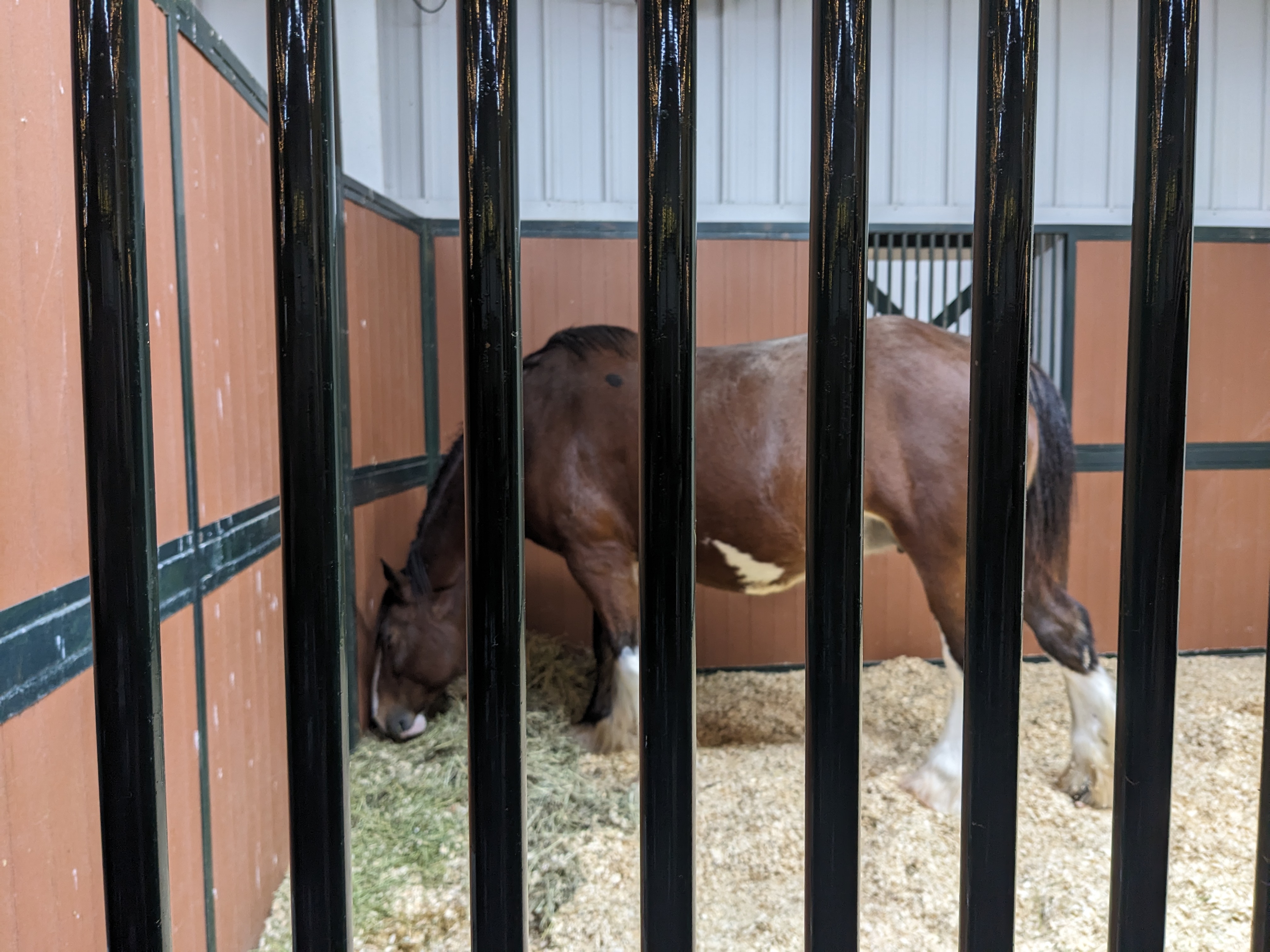 PXL 20241129 235752273