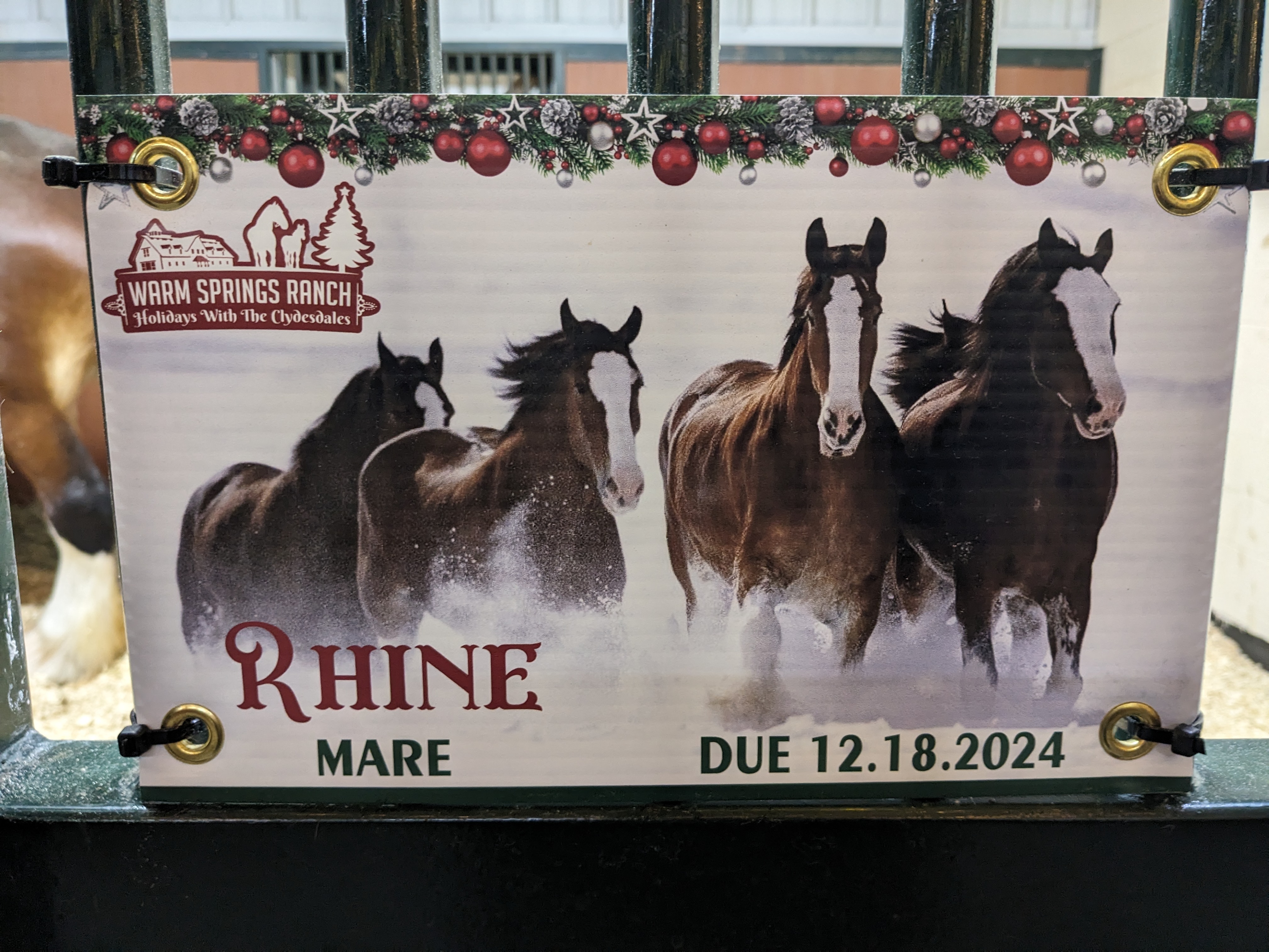 PXL 20241129 235800297