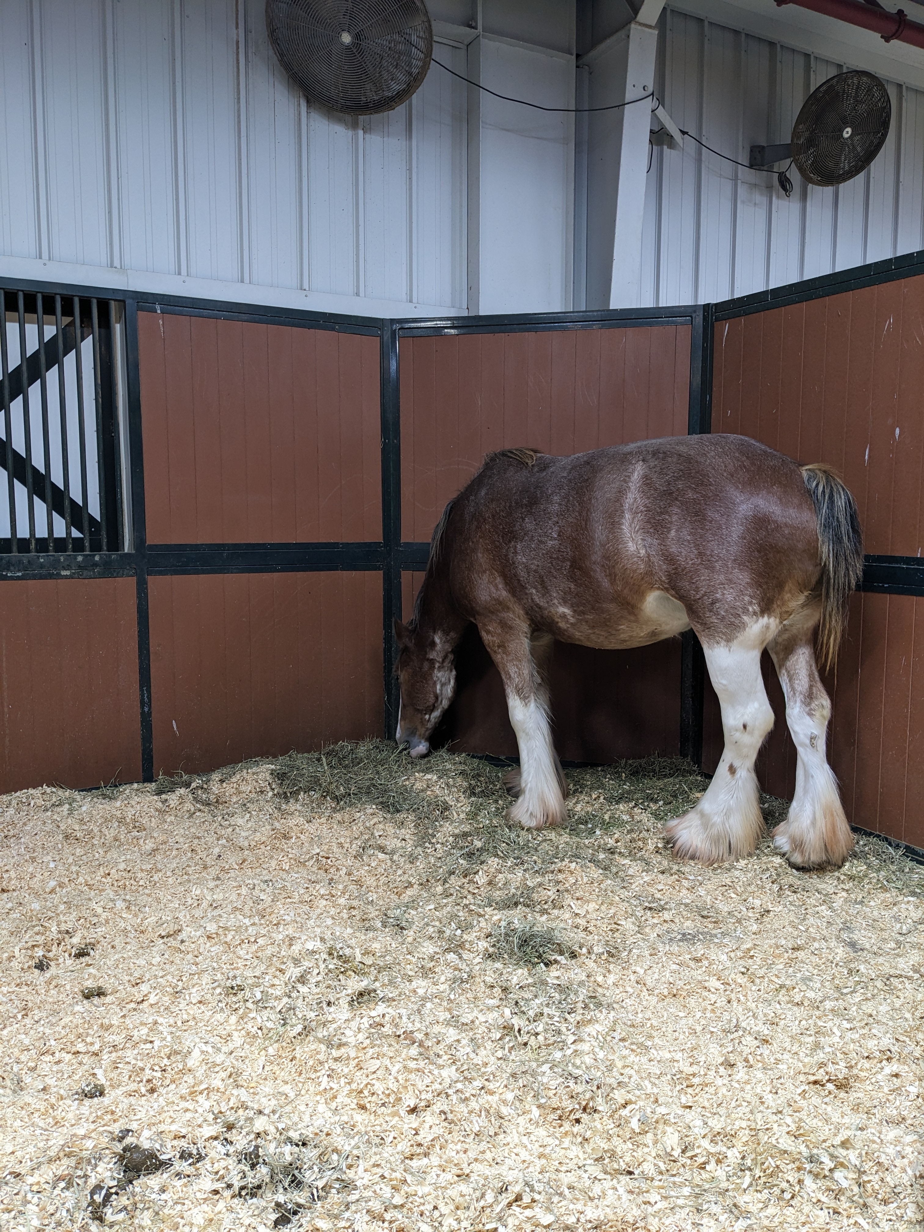 PXL 20241129 235843573