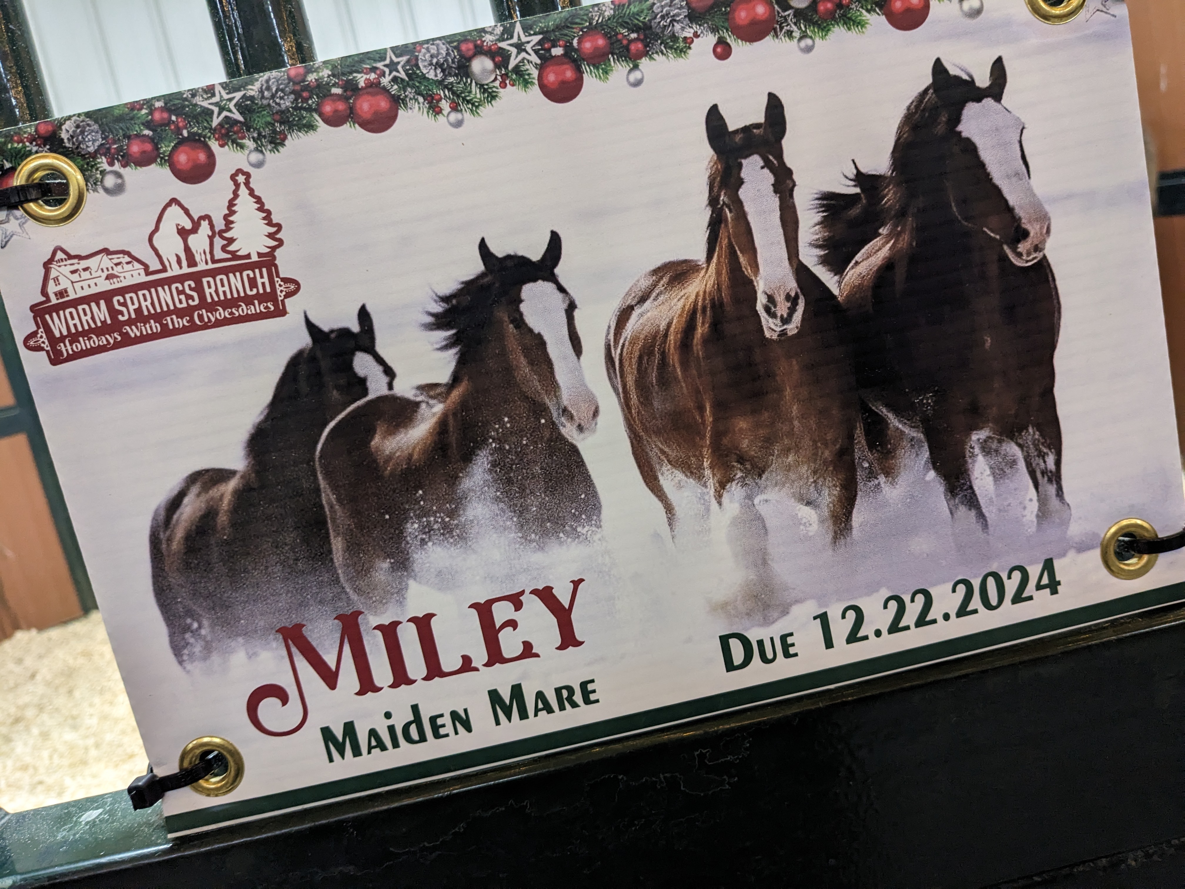 PXL 20241129 235851689