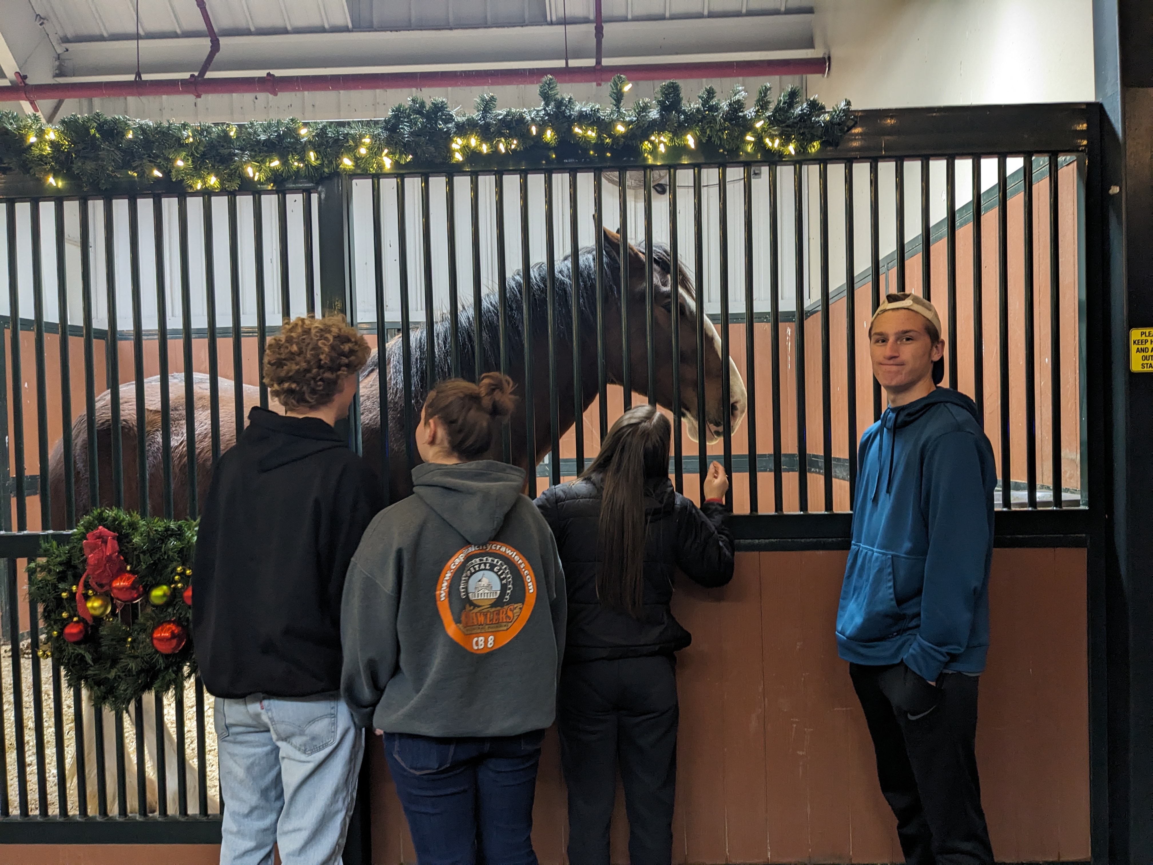 PXL 20241129 235905315