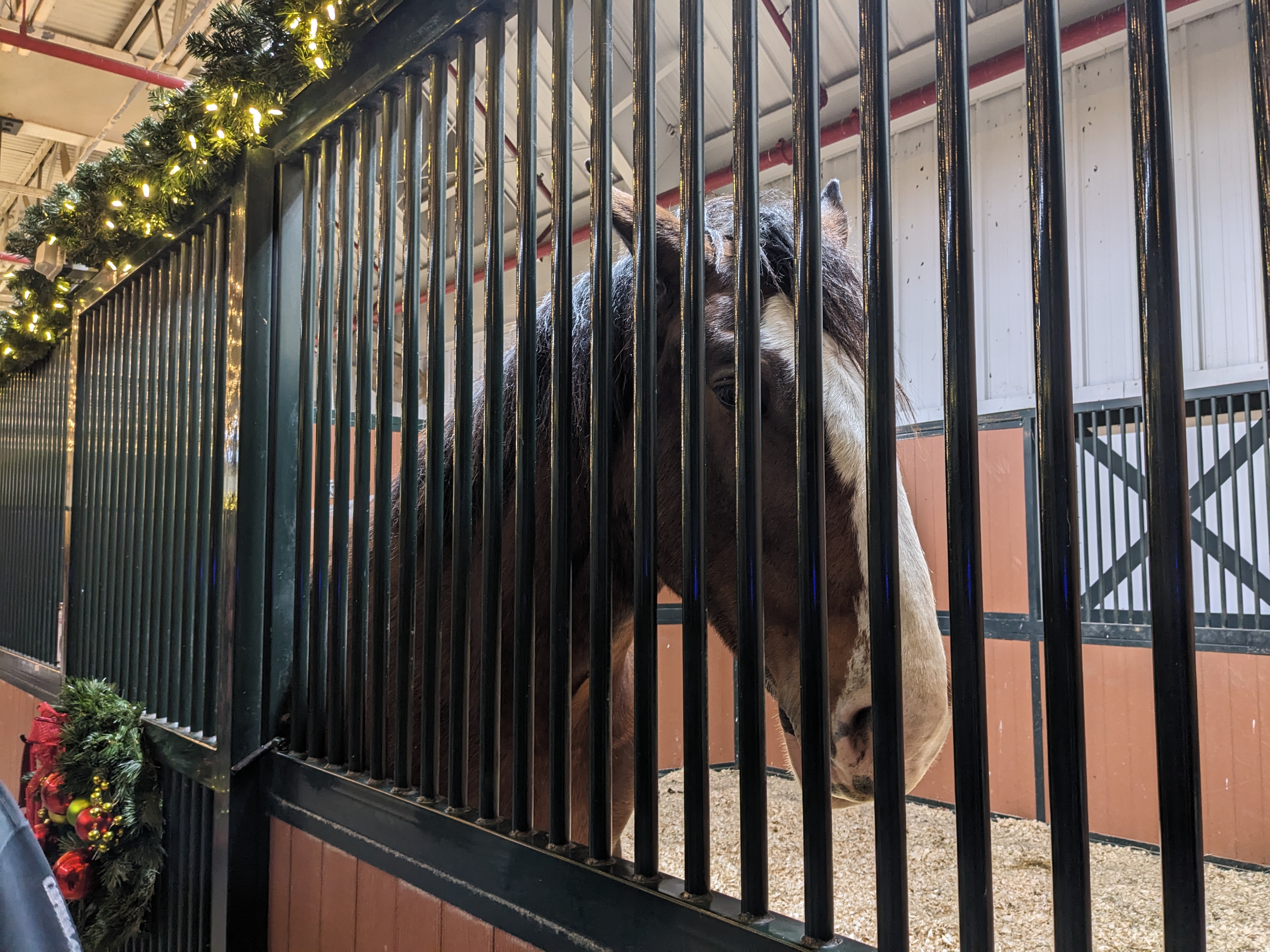 PXL 20241129 235957858