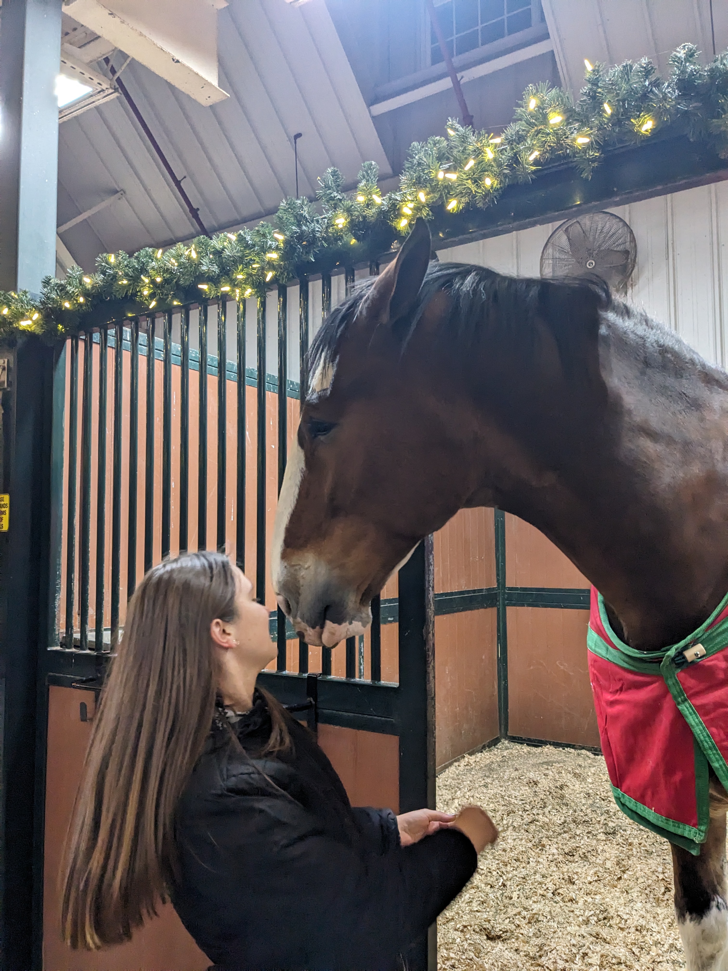 PXL 20241130 001148482