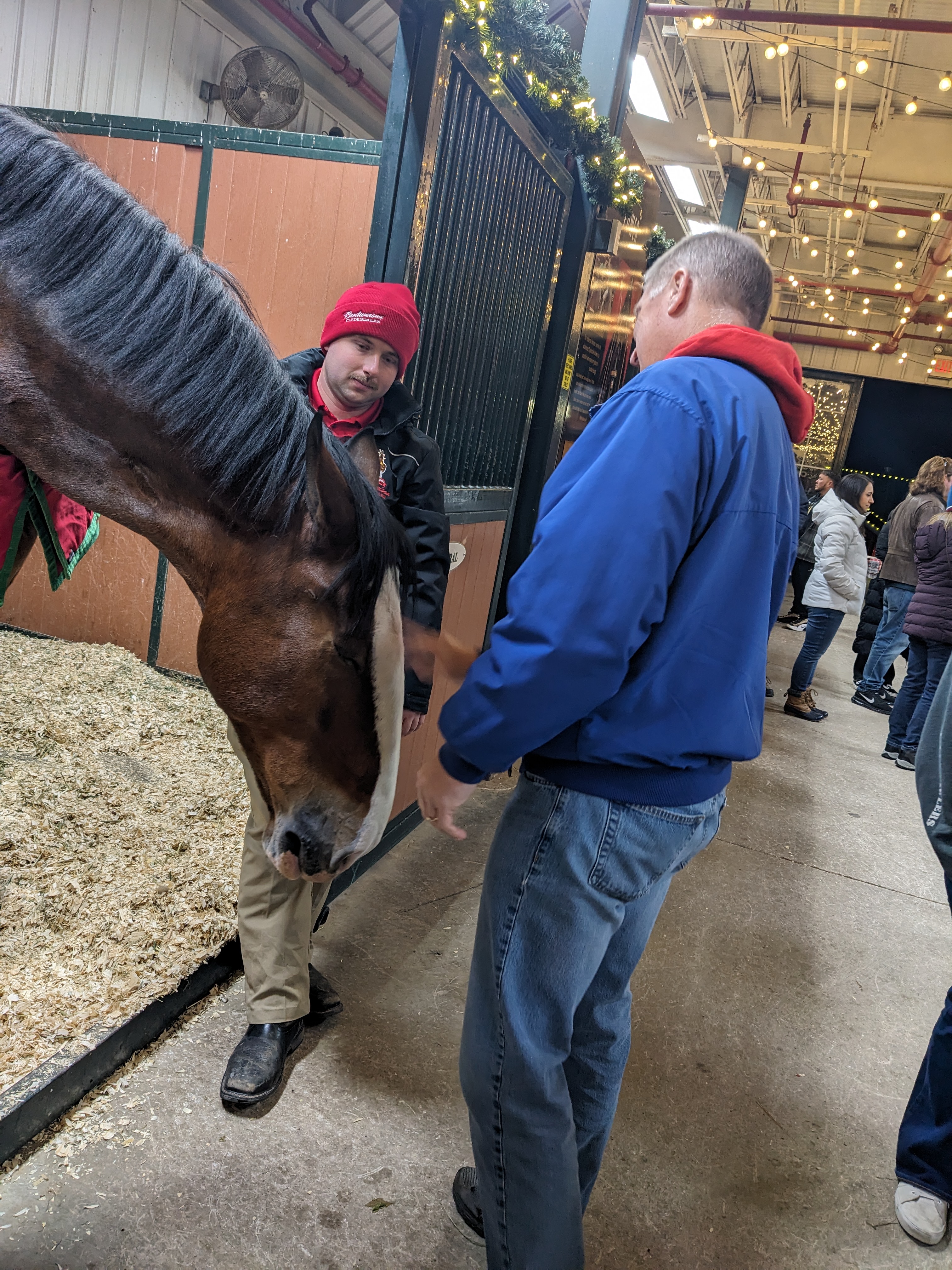 PXL 20241130 001718244