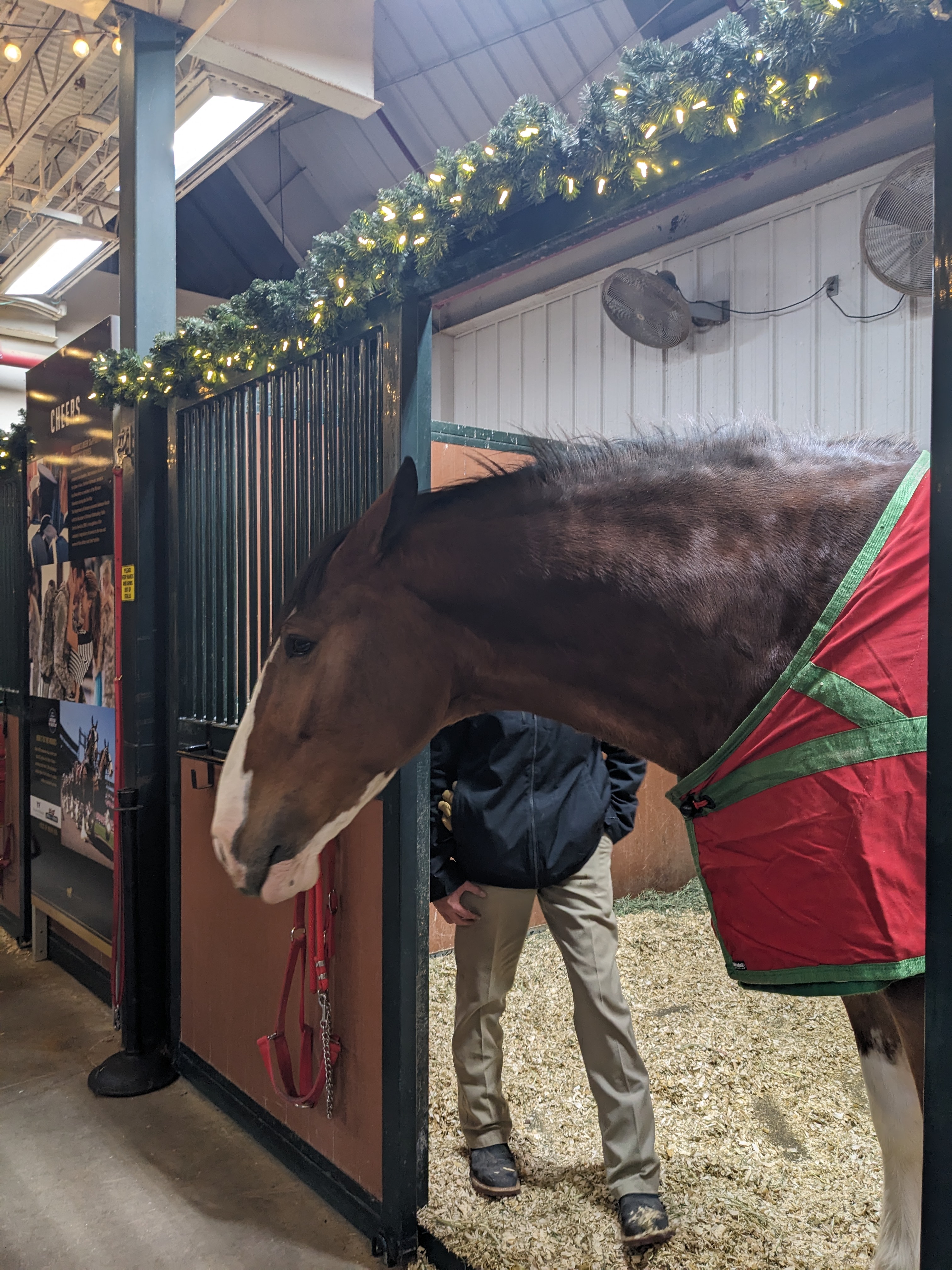 PXL 20241130 001825547