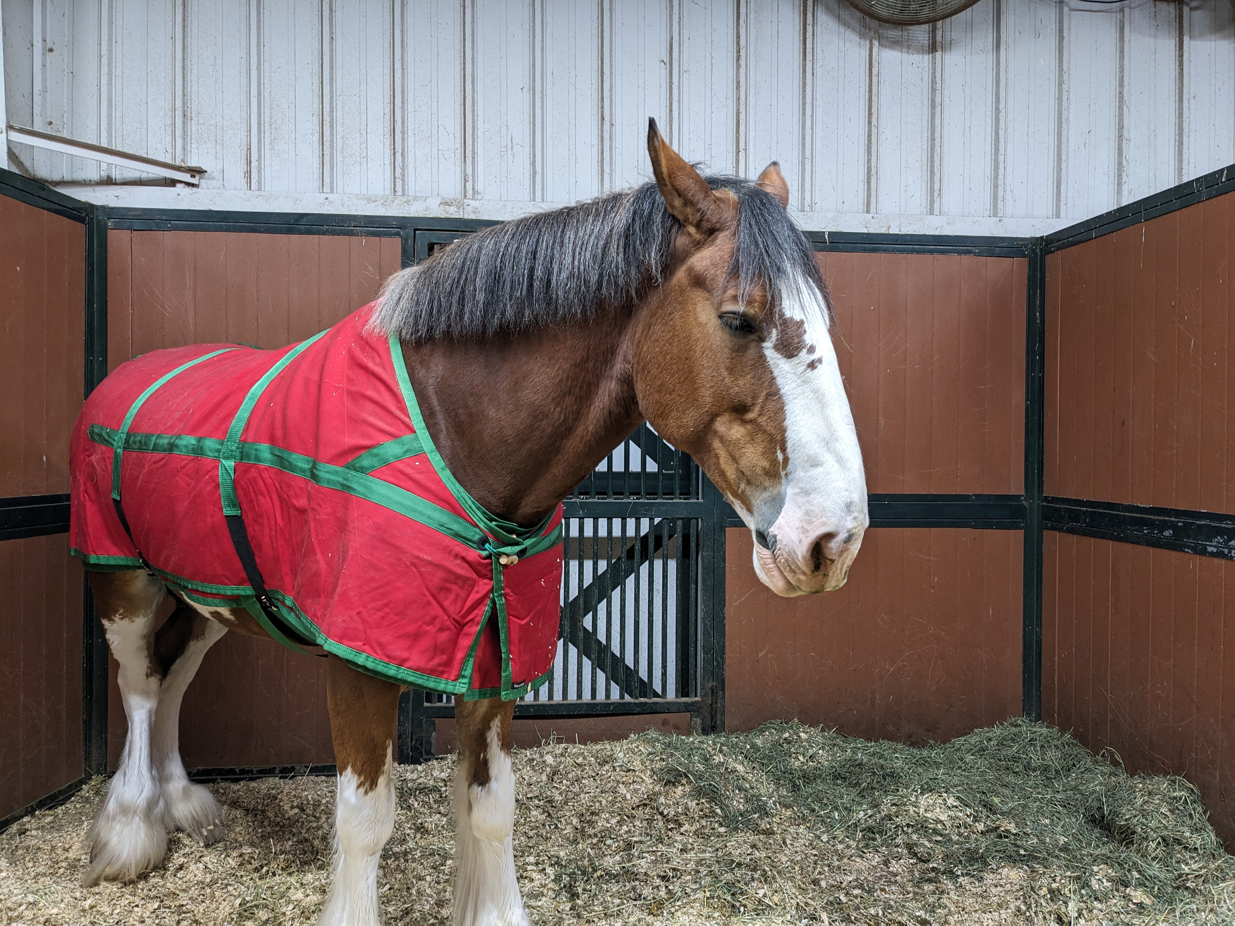 PXL 20241130 002223656