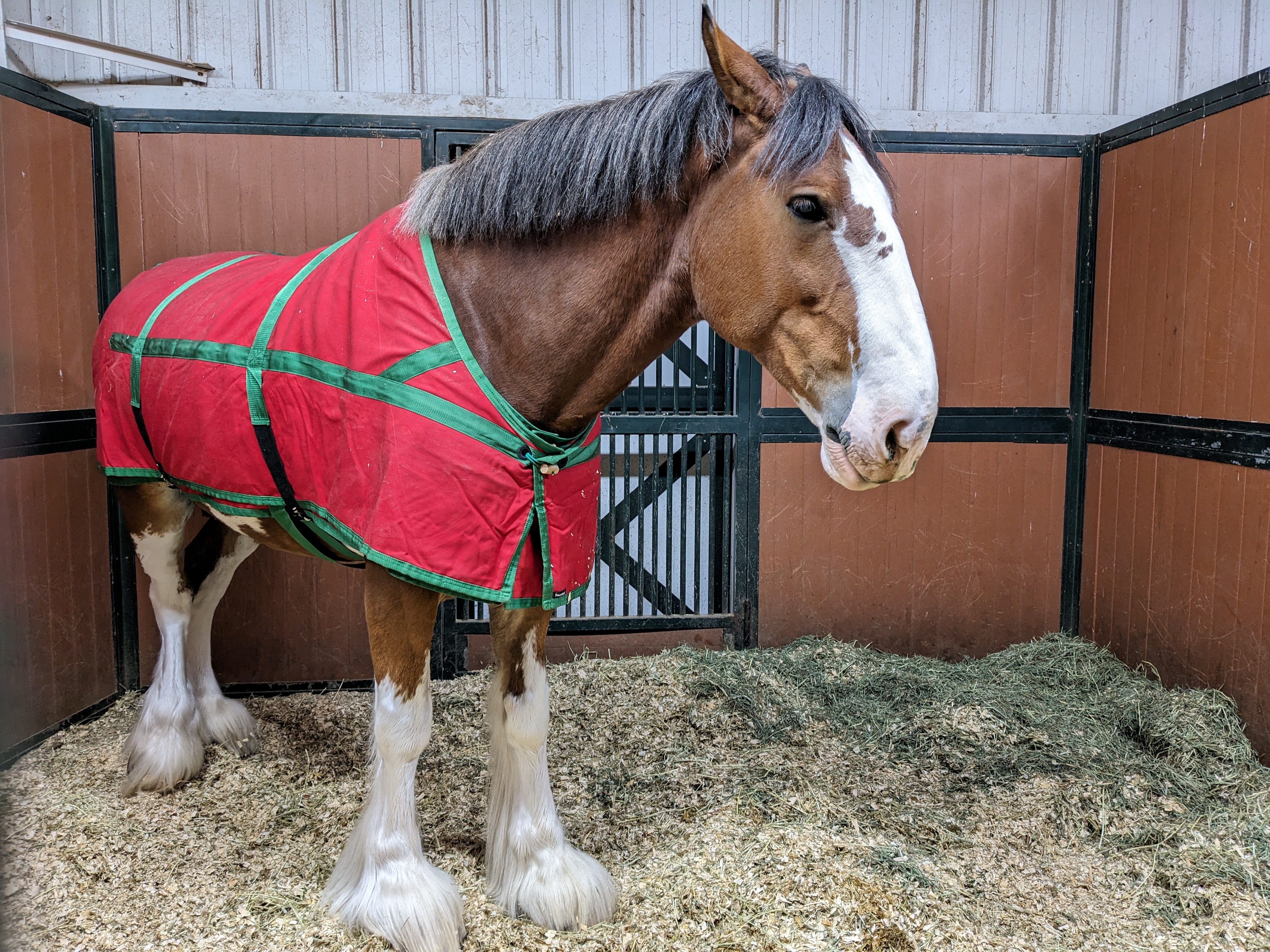 PXL 20241130 002230963