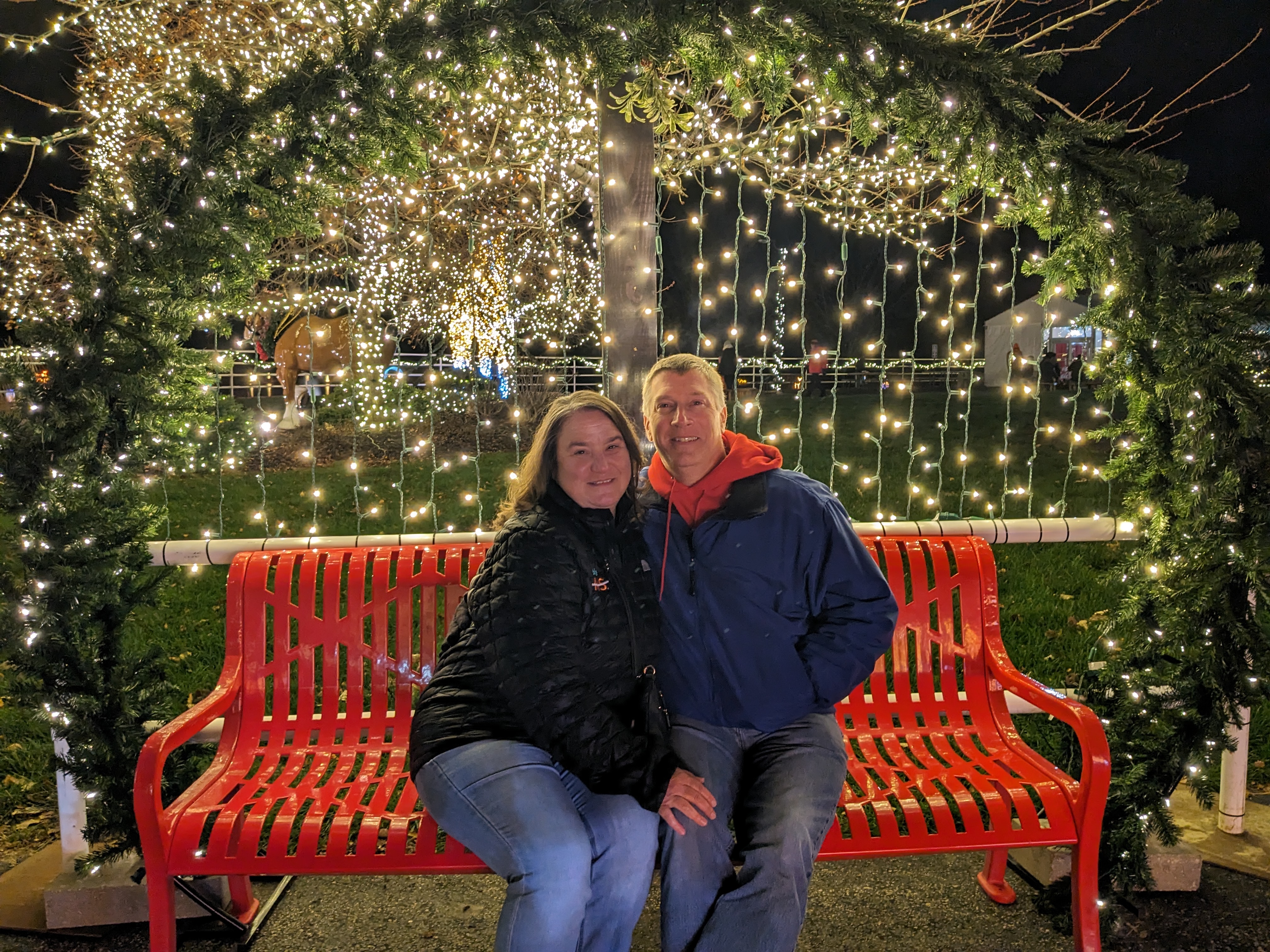 PXL 20241130 010627189