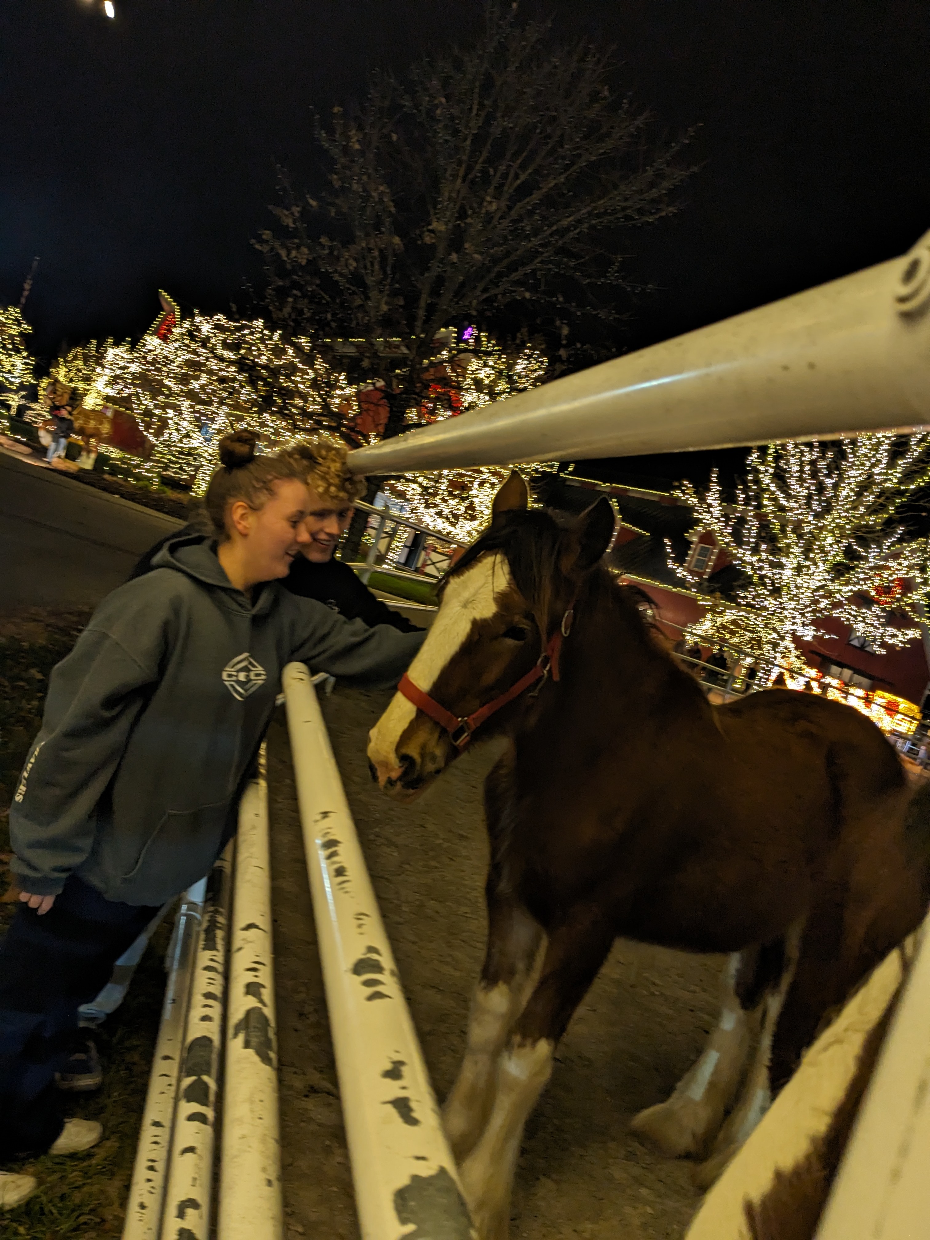 PXL 20241130 010851789