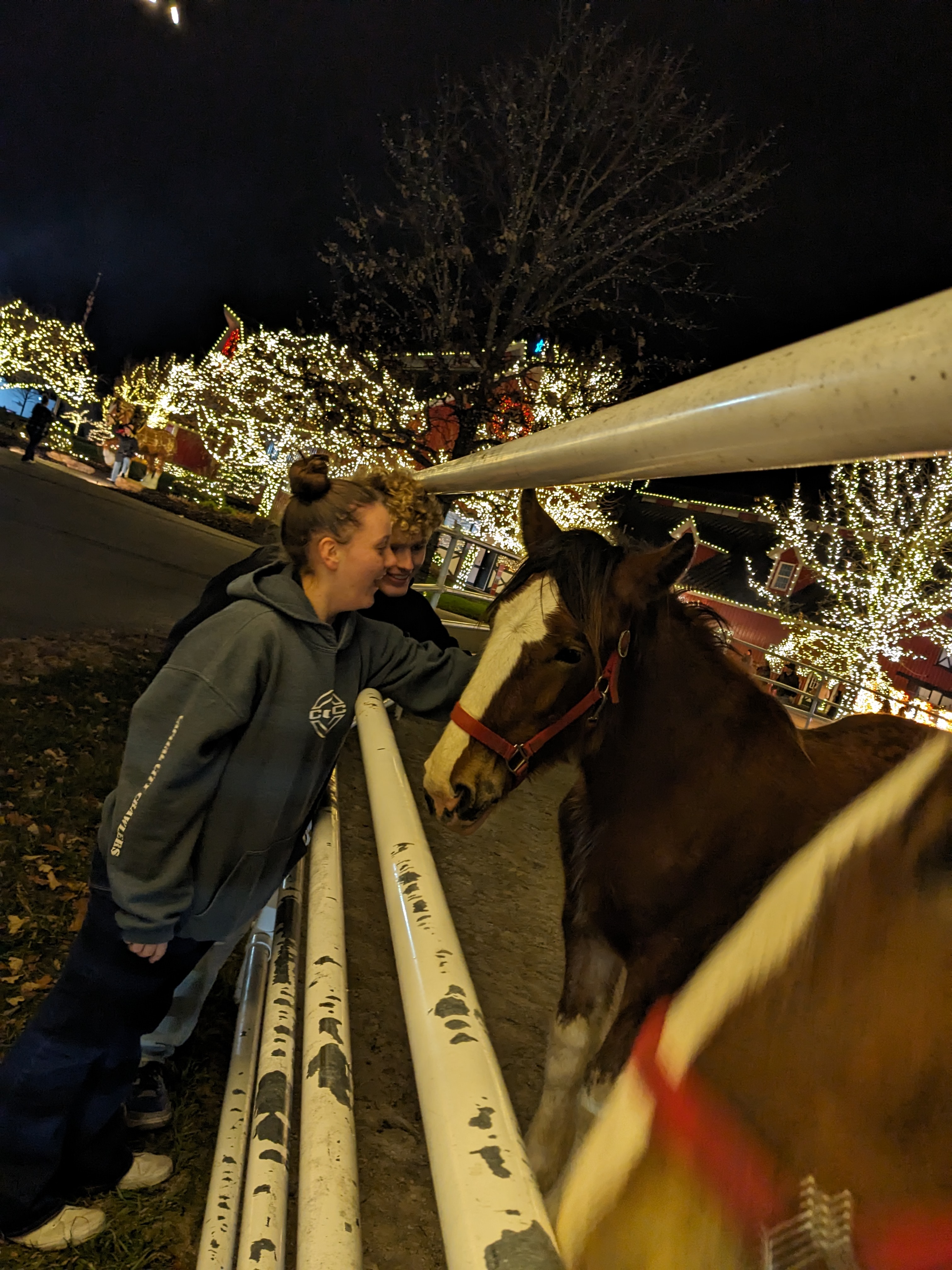 PXL 20241130 010852422