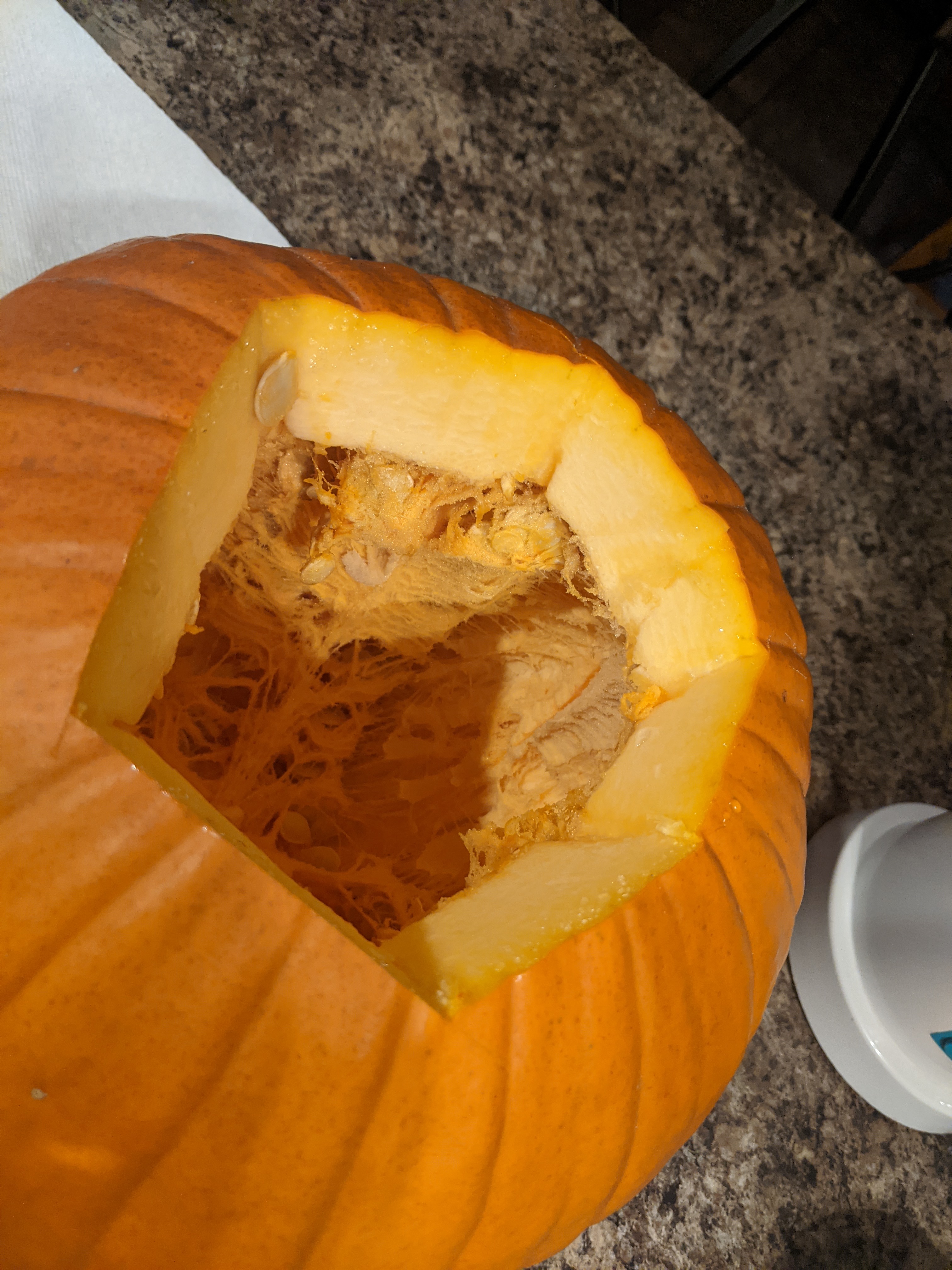 PXL 20201029 231502730