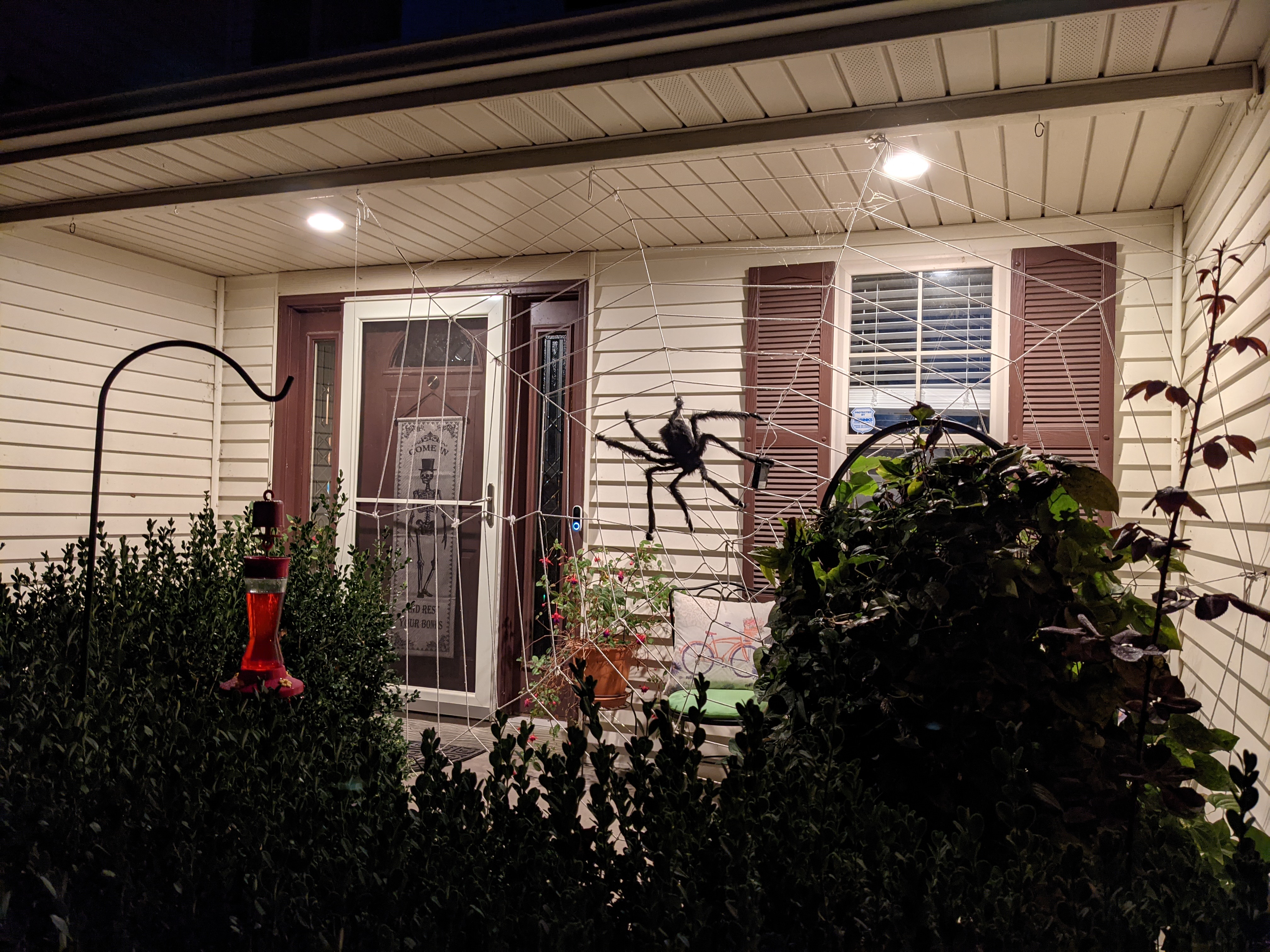 PXL 20211026 115245107