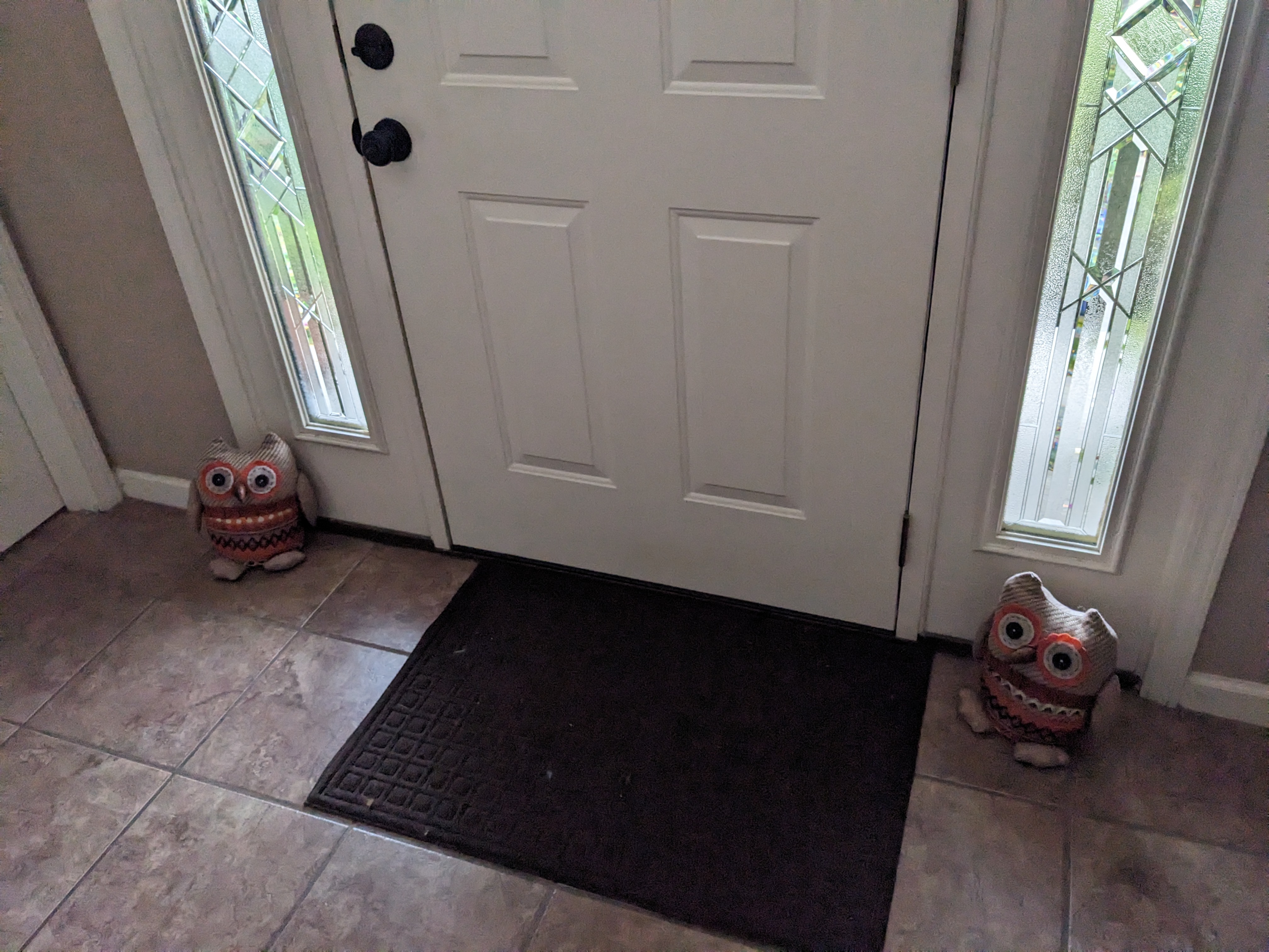 PXL 20231029 183609269