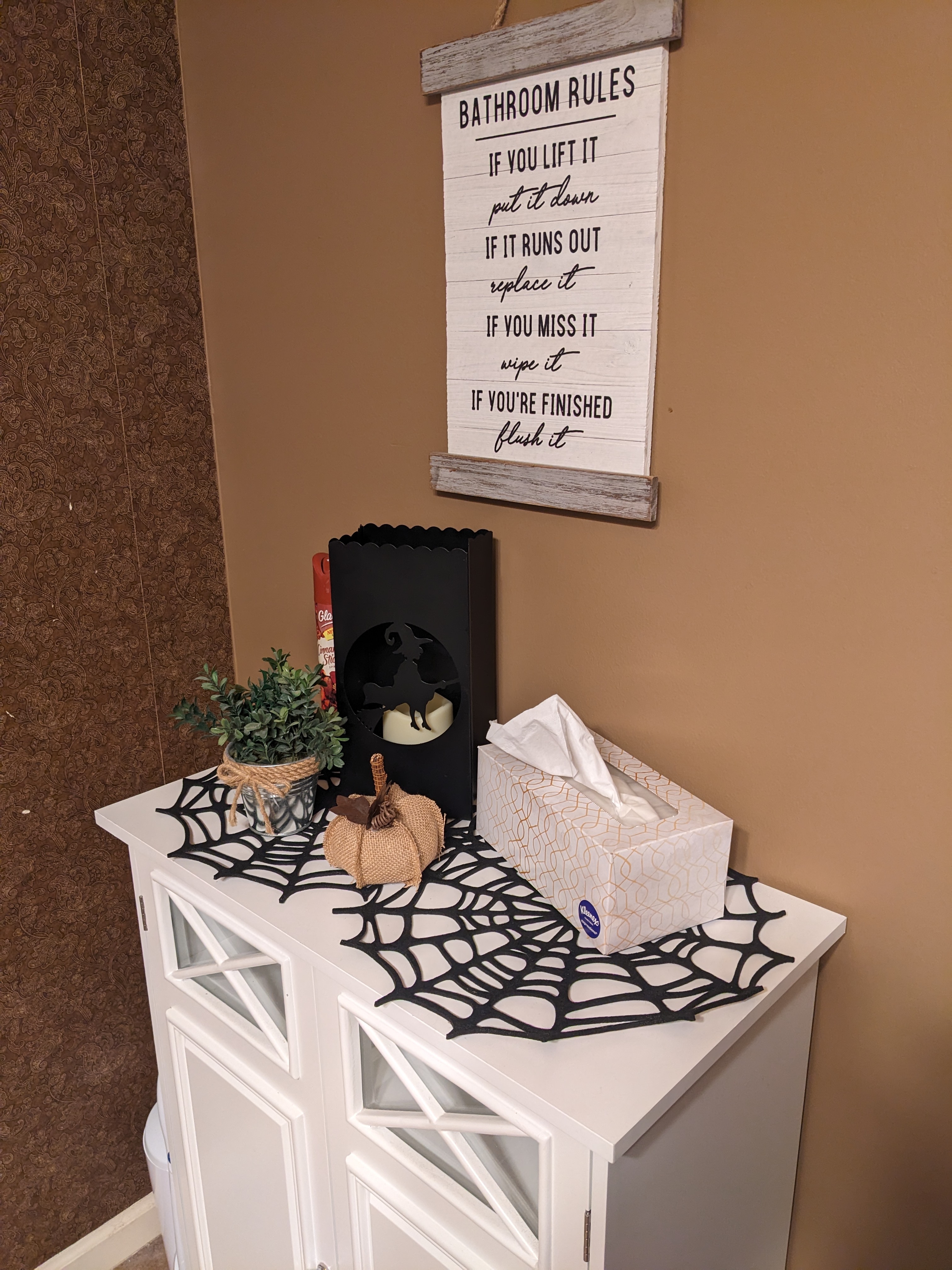 PXL 20231029 183644405