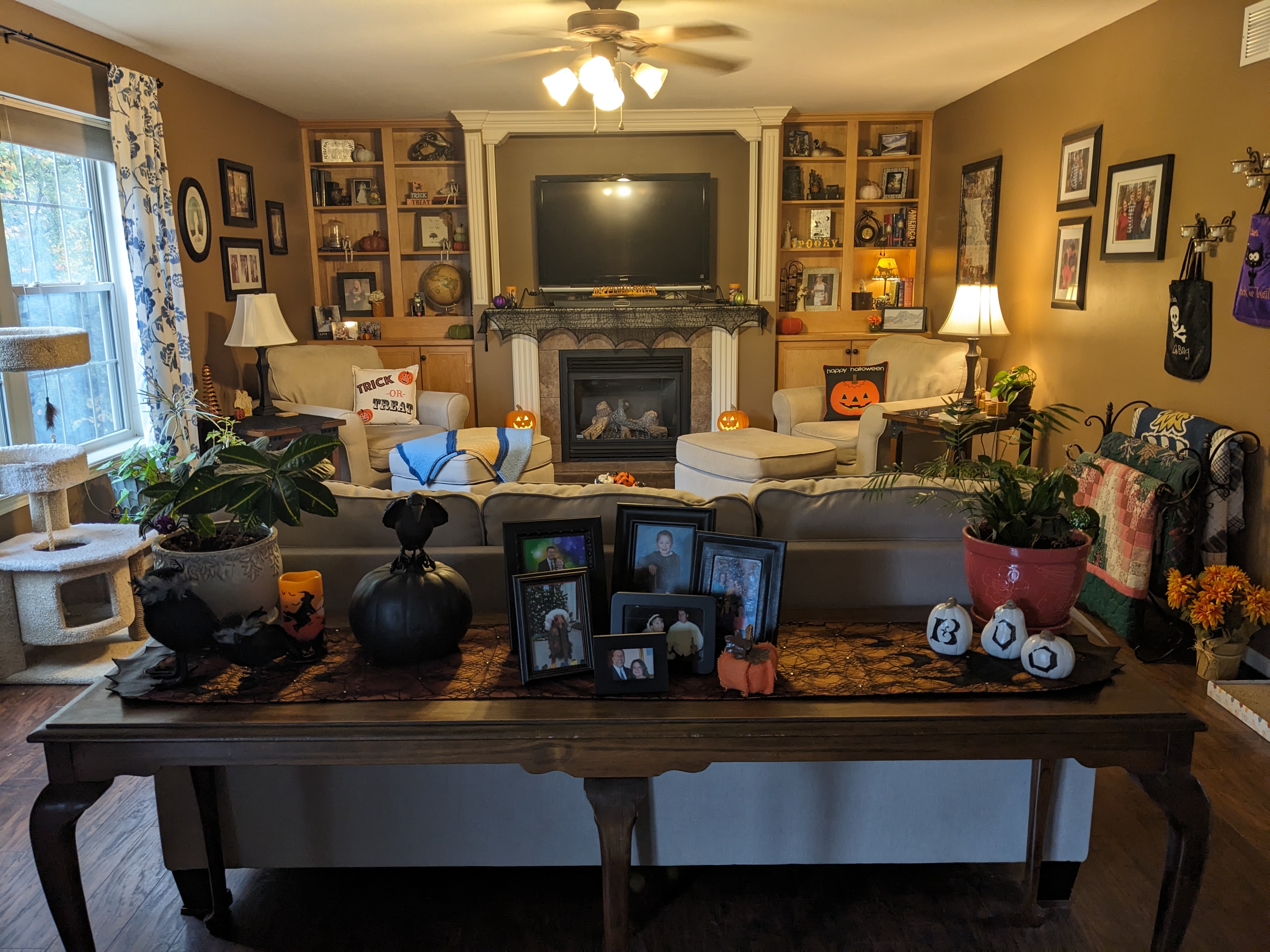 PXL 20231029 183816162