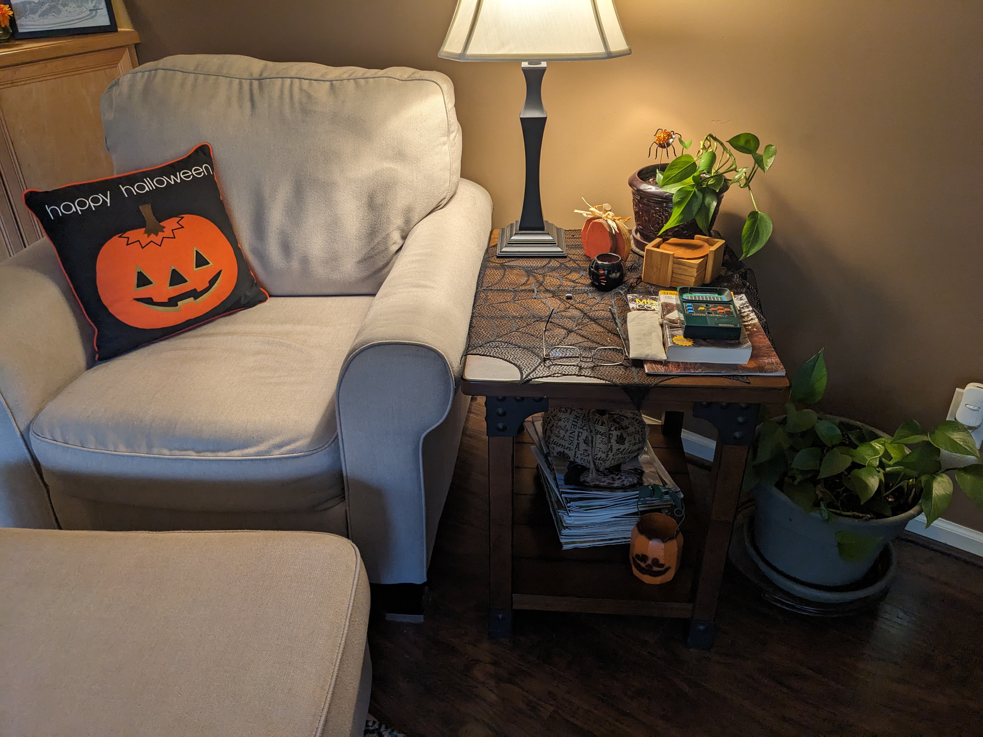 PXL 20231029 183850375