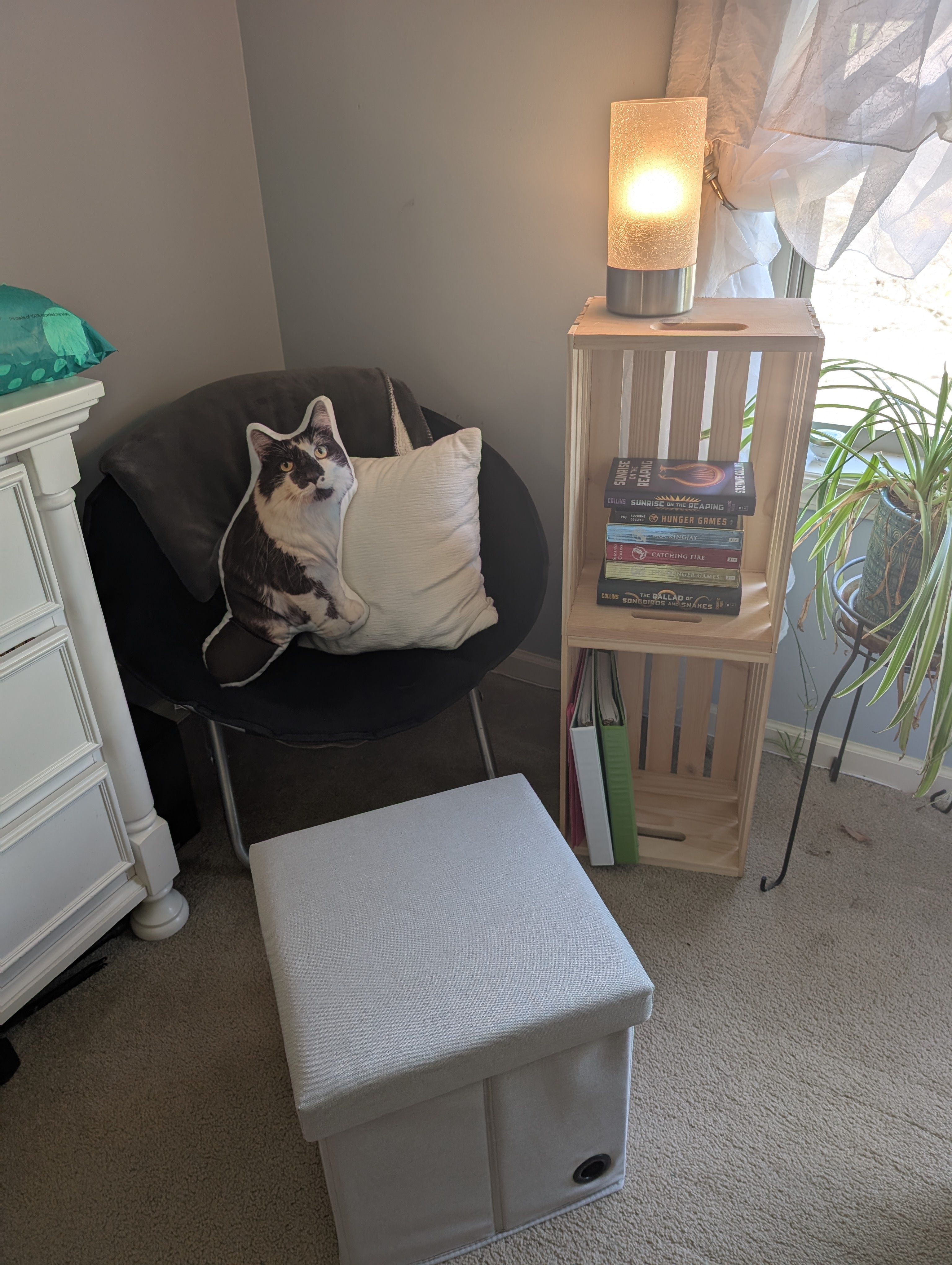 PXL 20250510 203319039