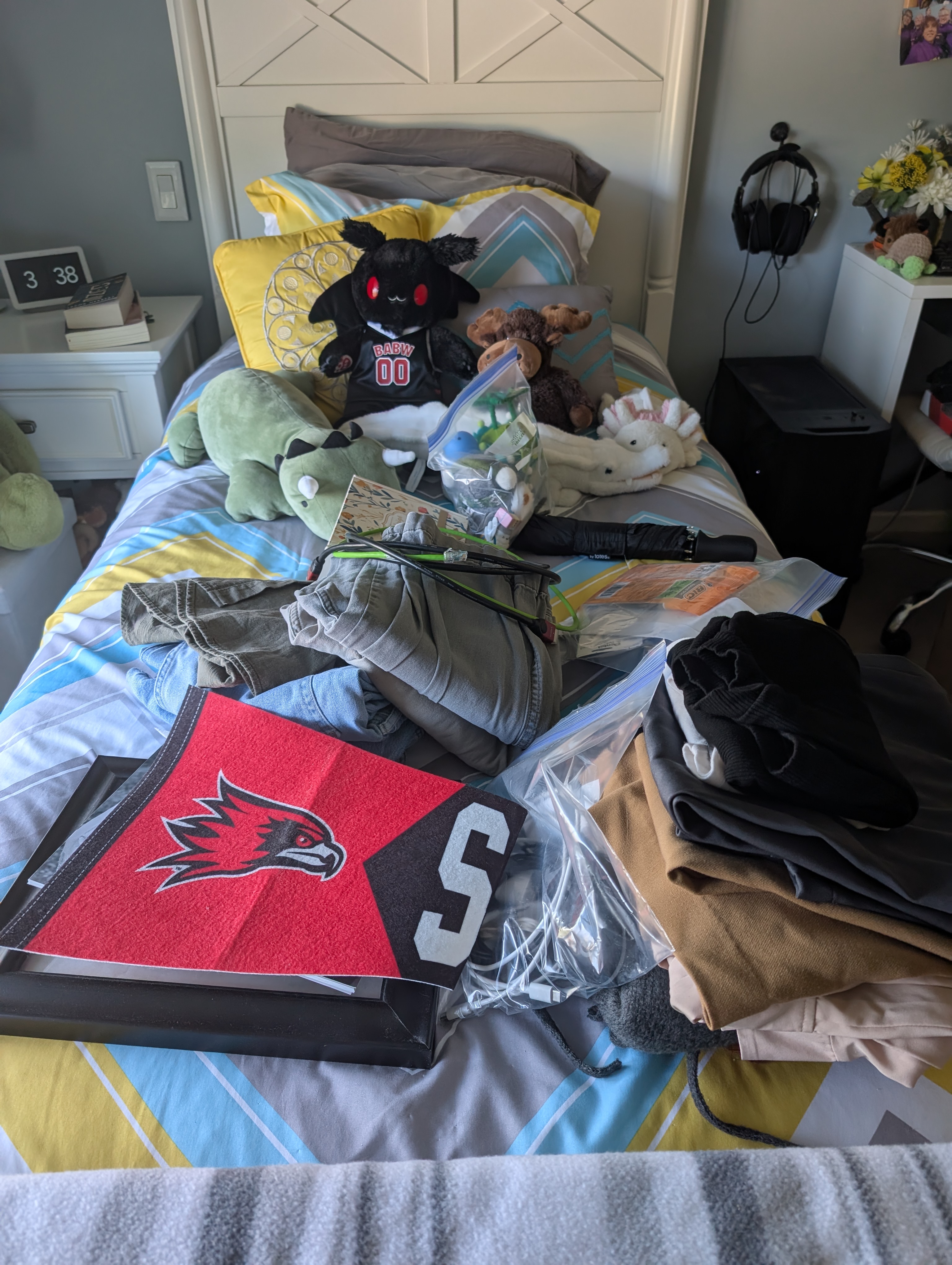 PXL 20250510 203804610