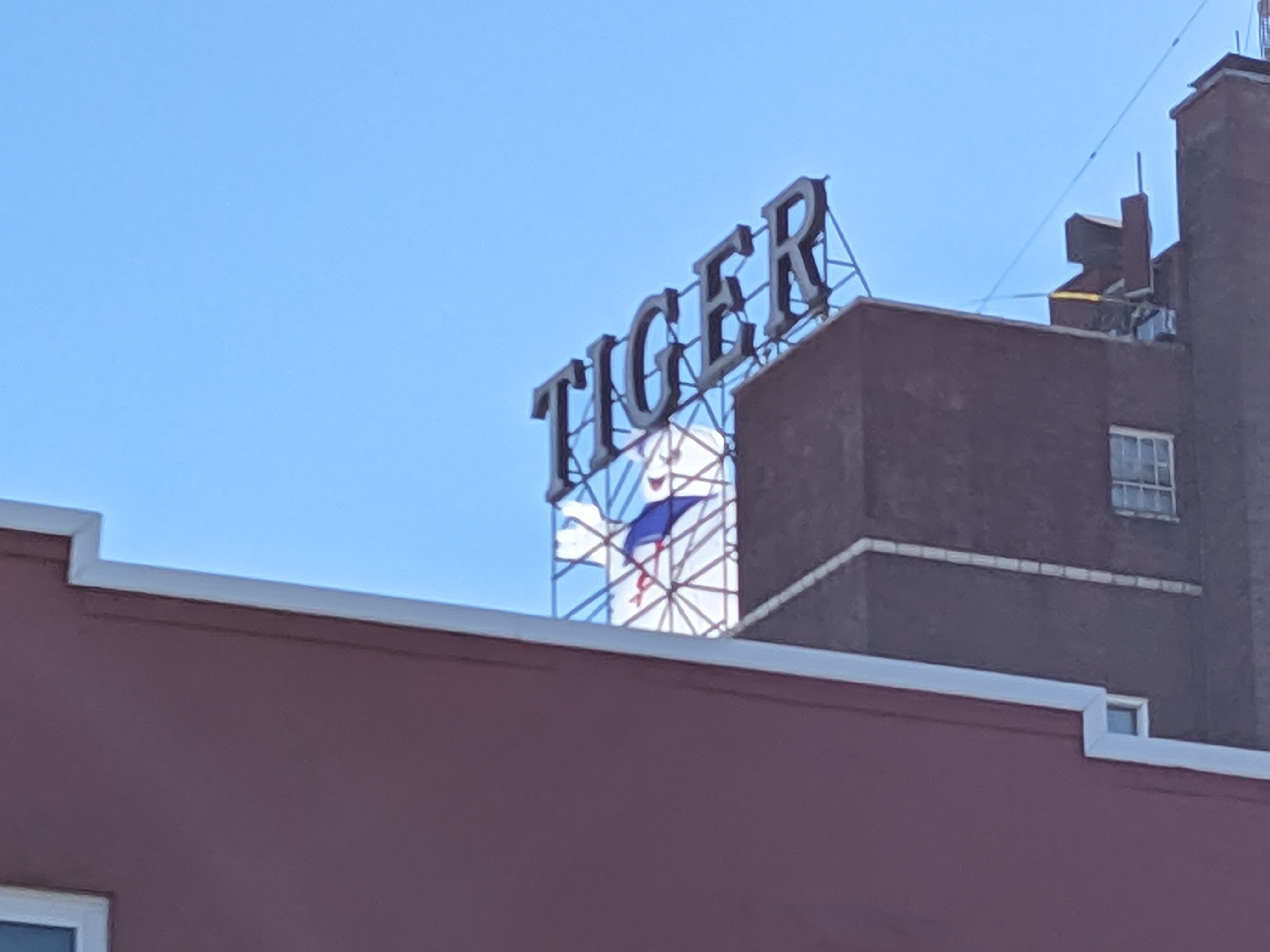 PXL 20231021 155052250