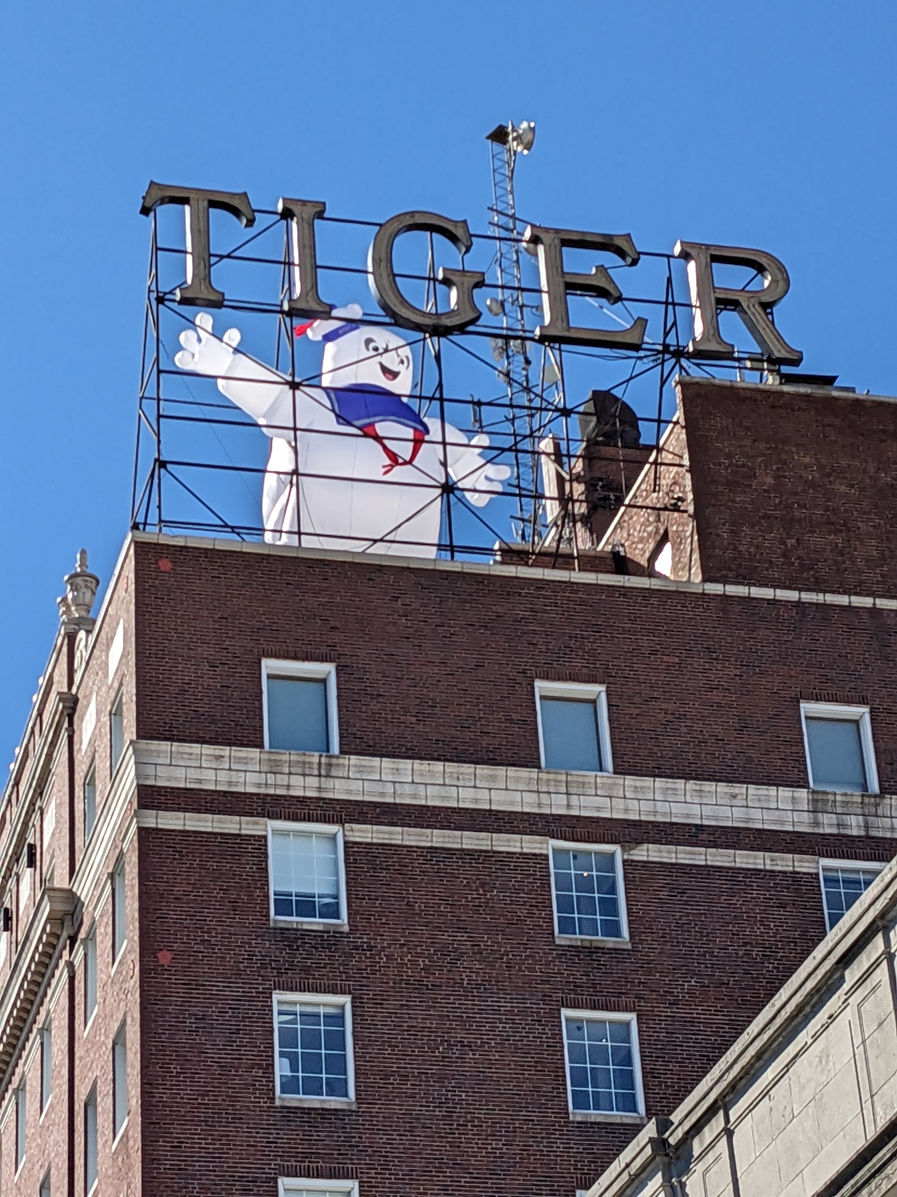 PXL 20231021 155336332