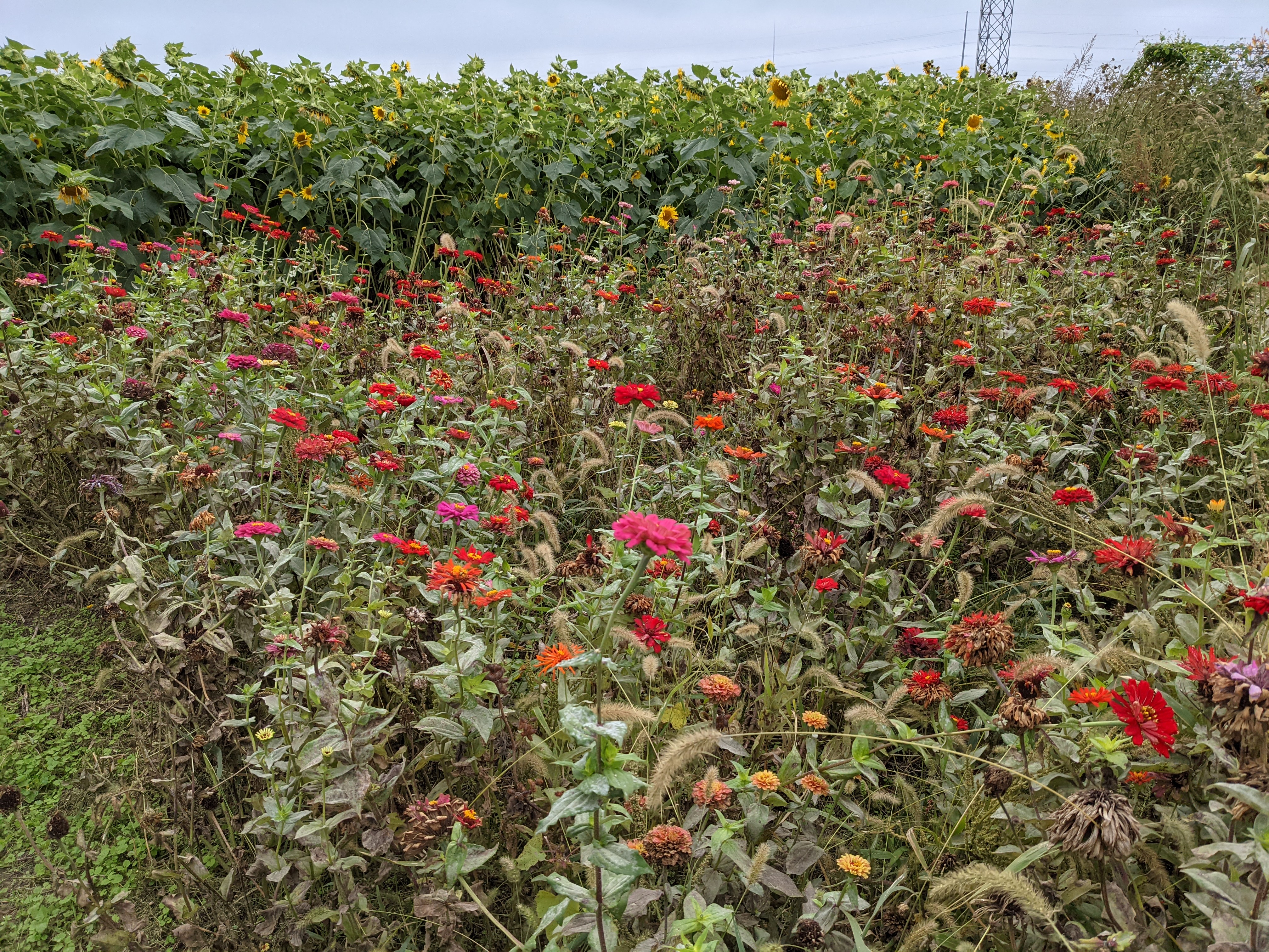 PXL 20211023 202144467