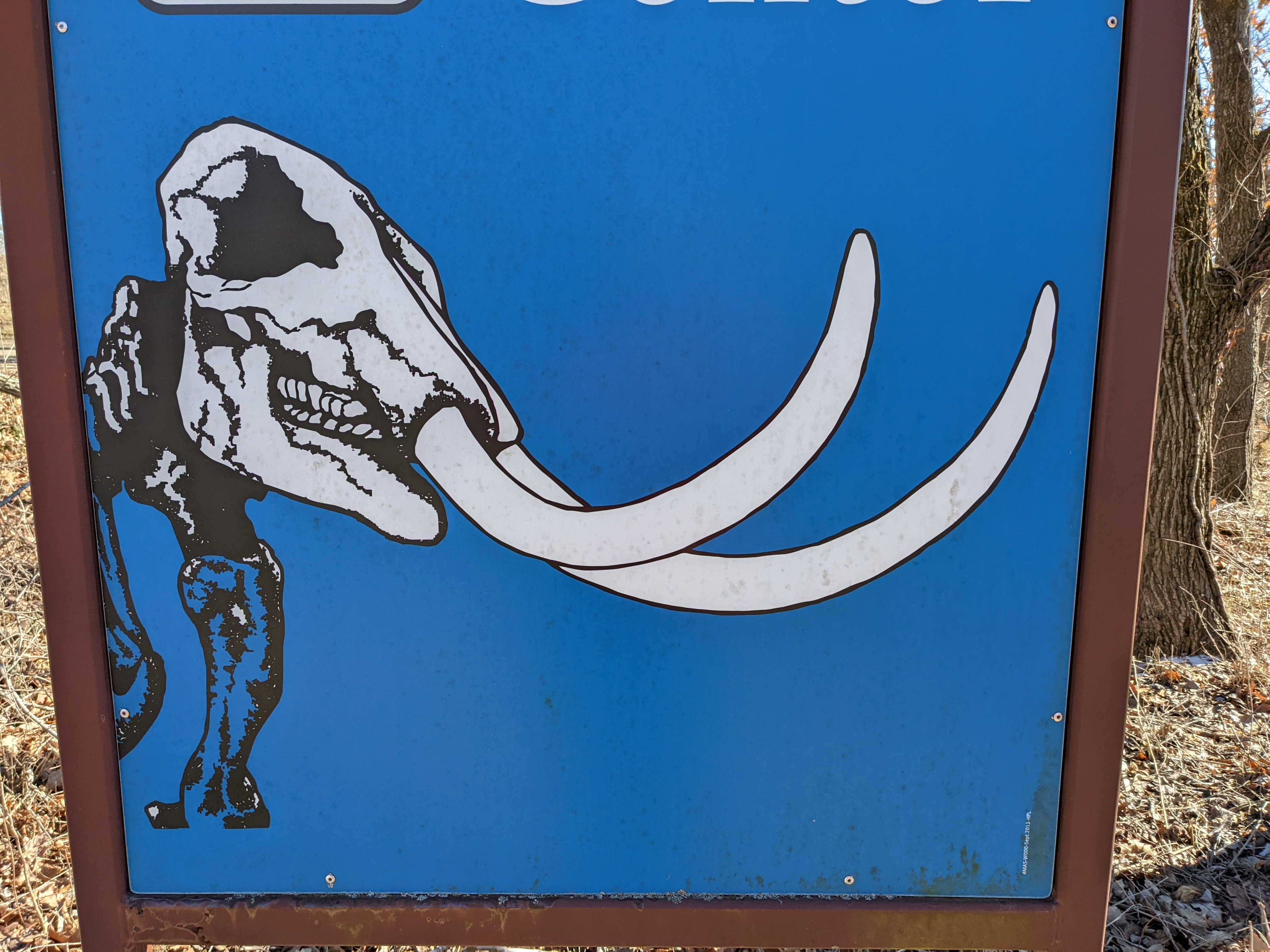 PXL 20220219 195857547