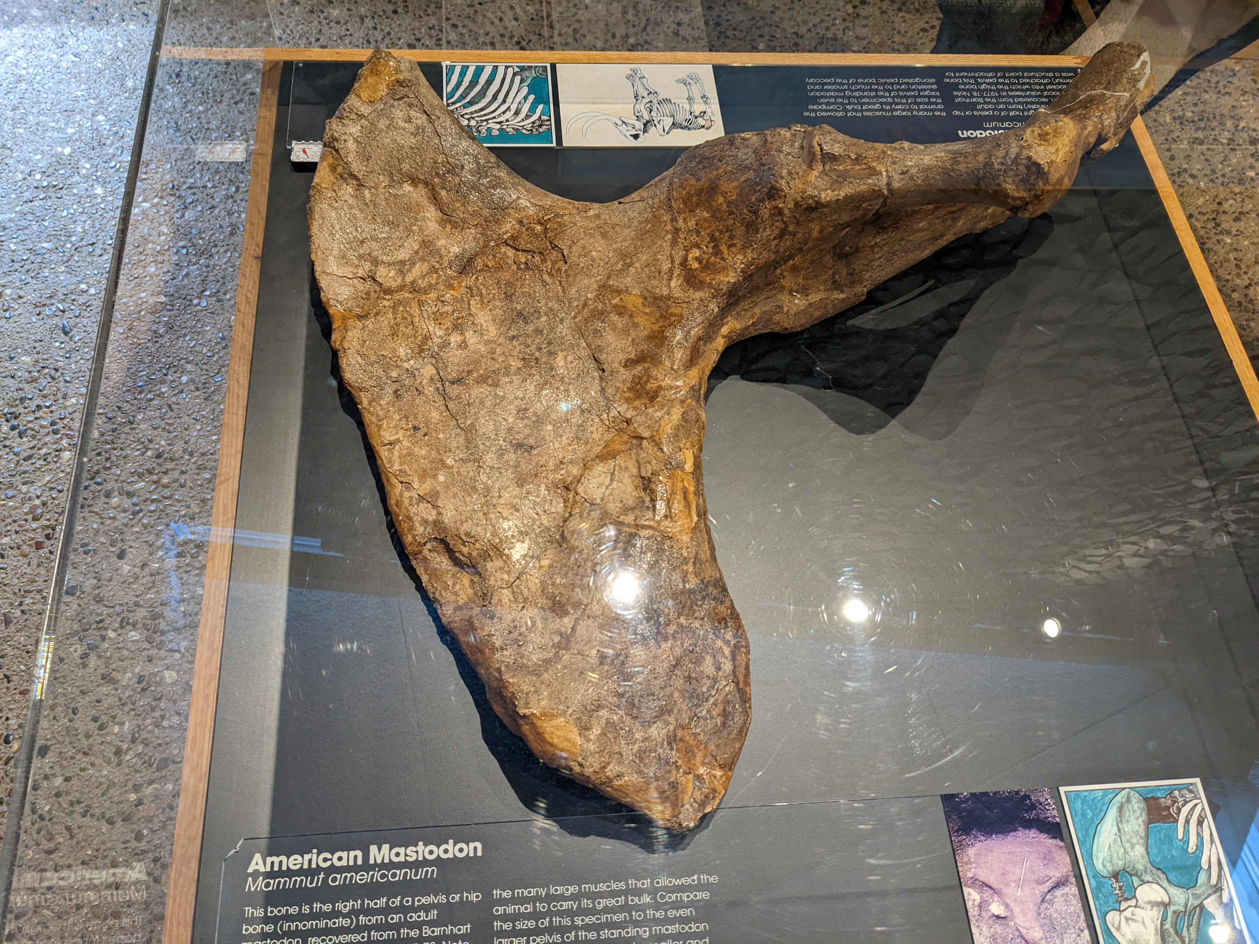 PXL 20220219 200426289