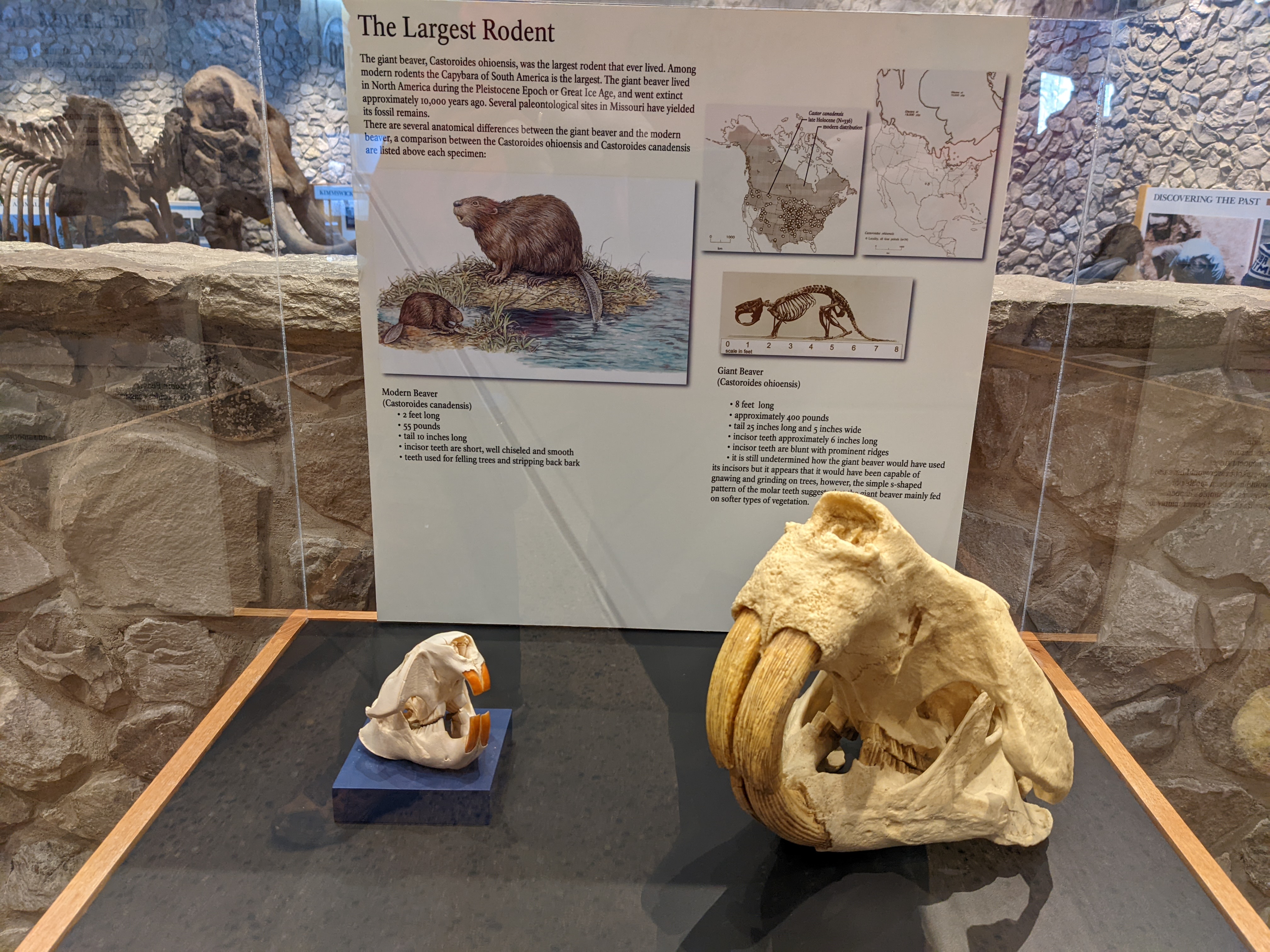 PXL 20220219 200549962