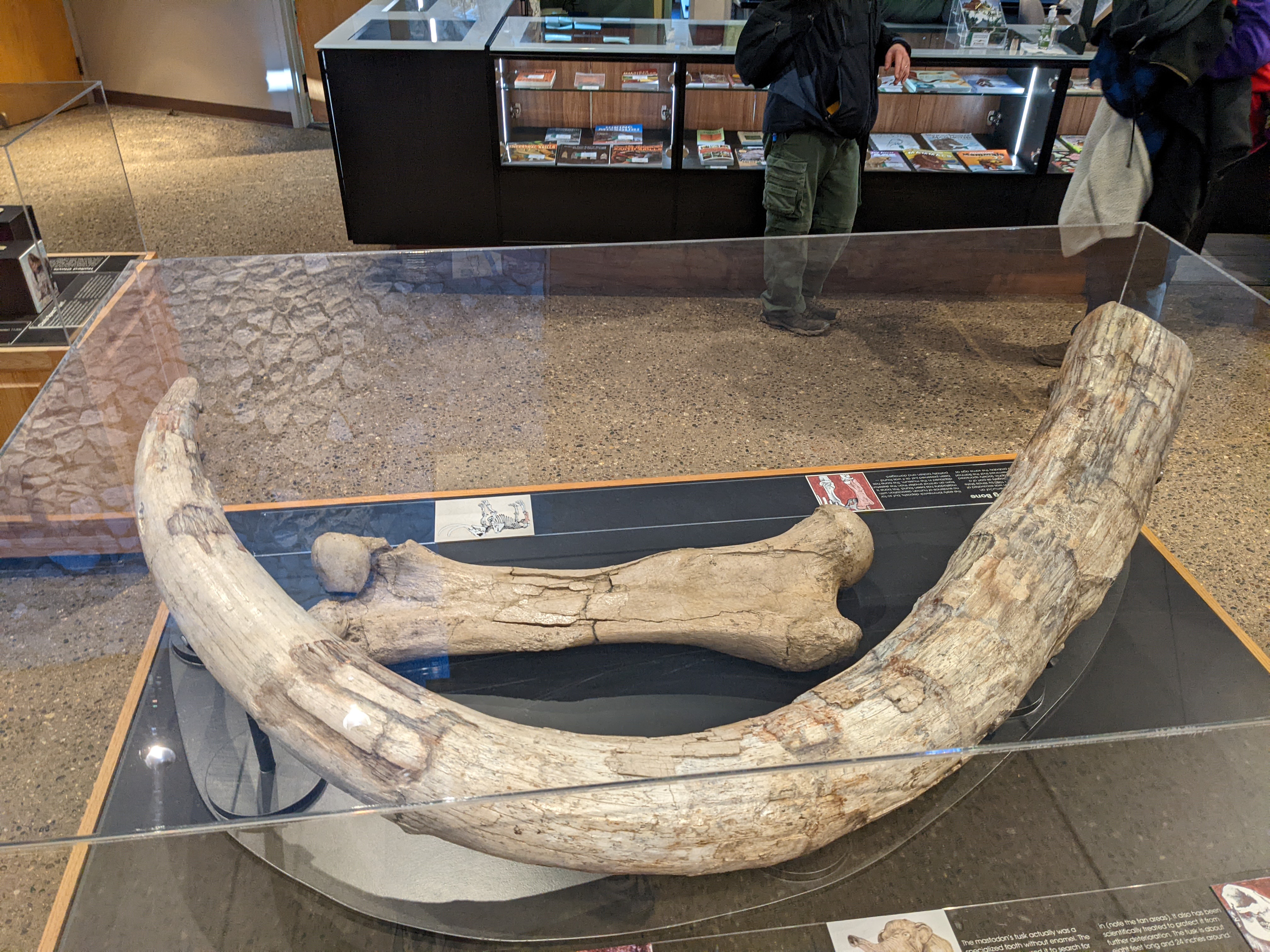 PXL 20220219 200602794.MP