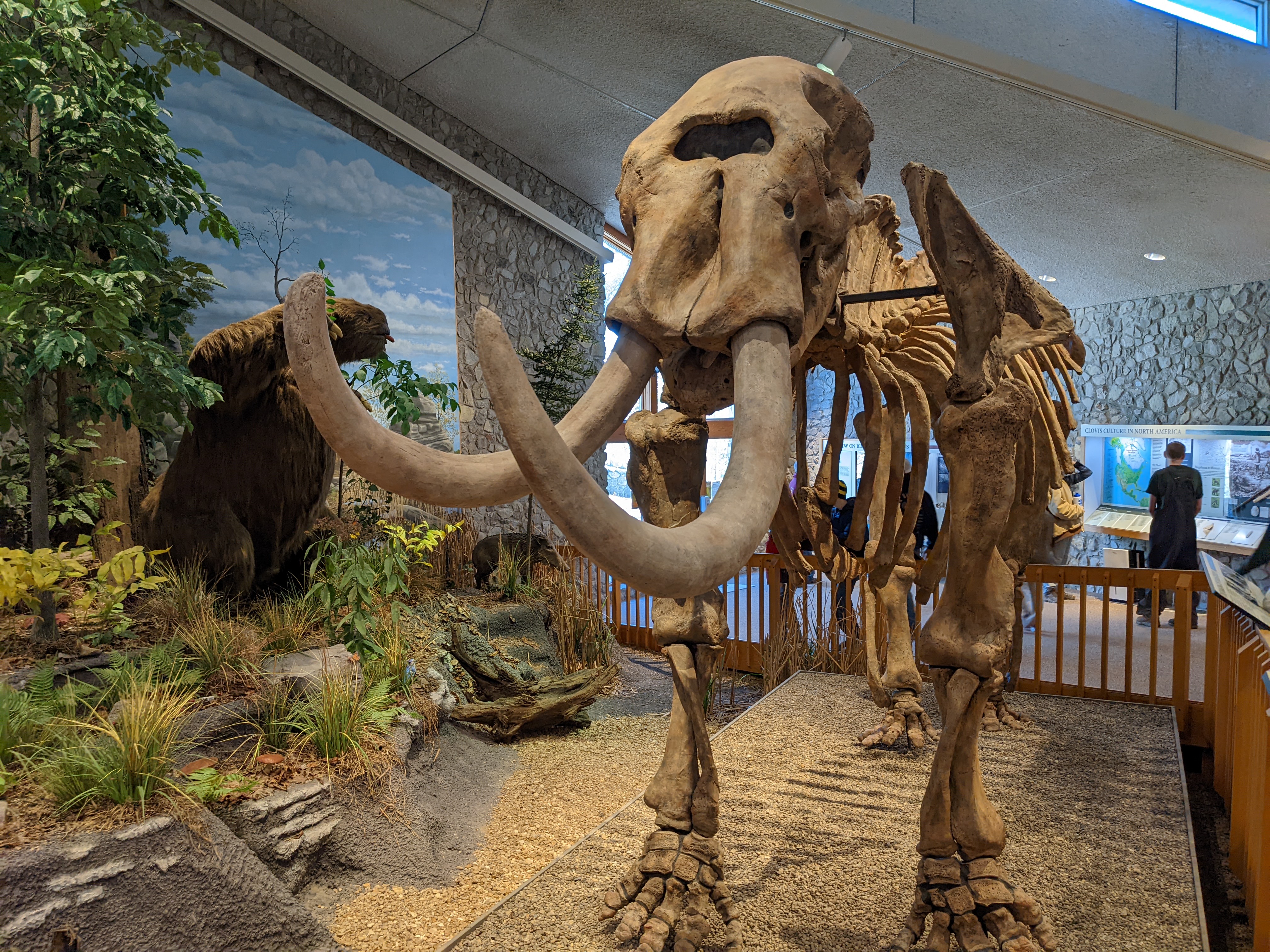 PXL 20220219 201344805