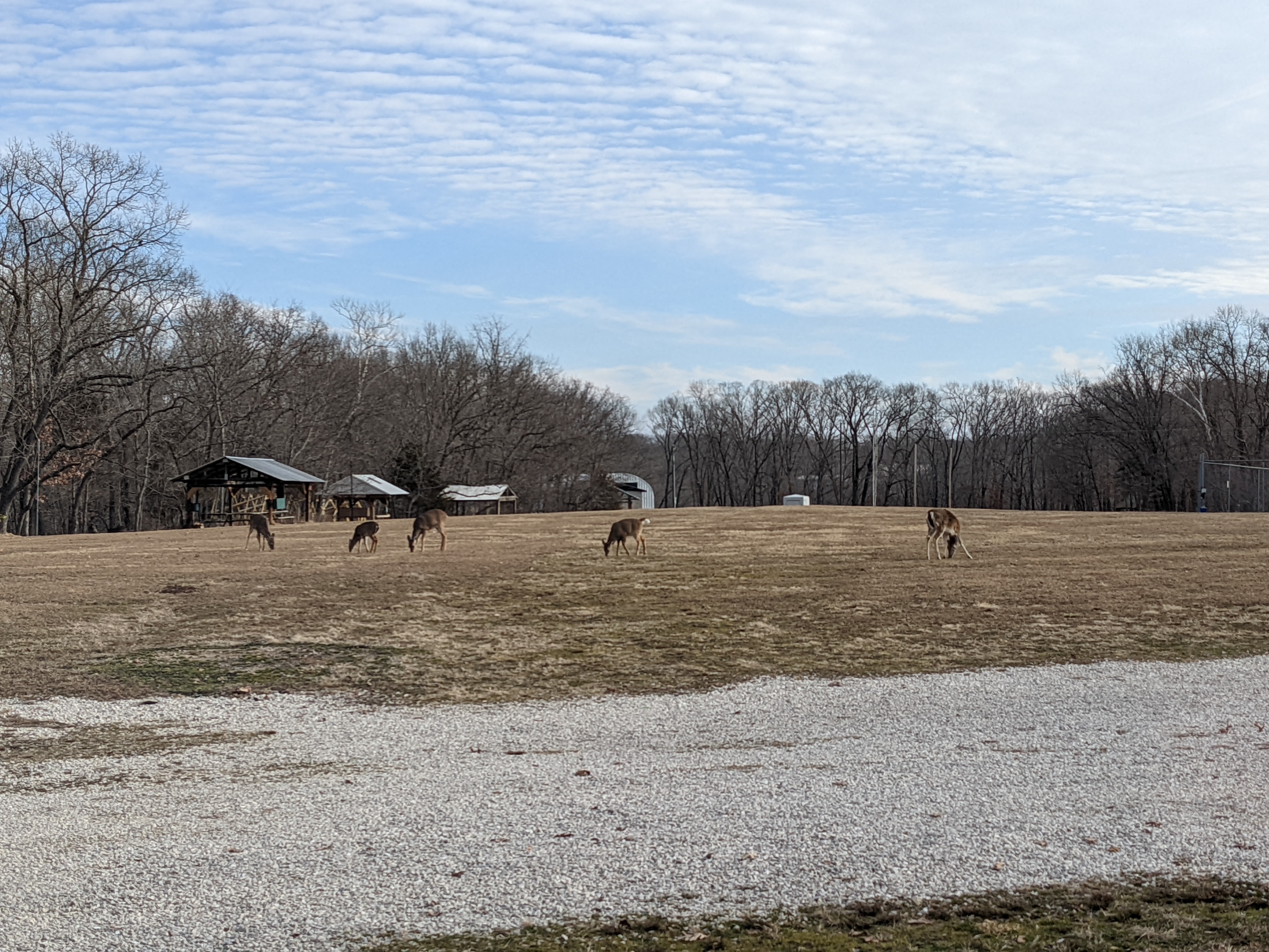 PXL 20220122 153119055