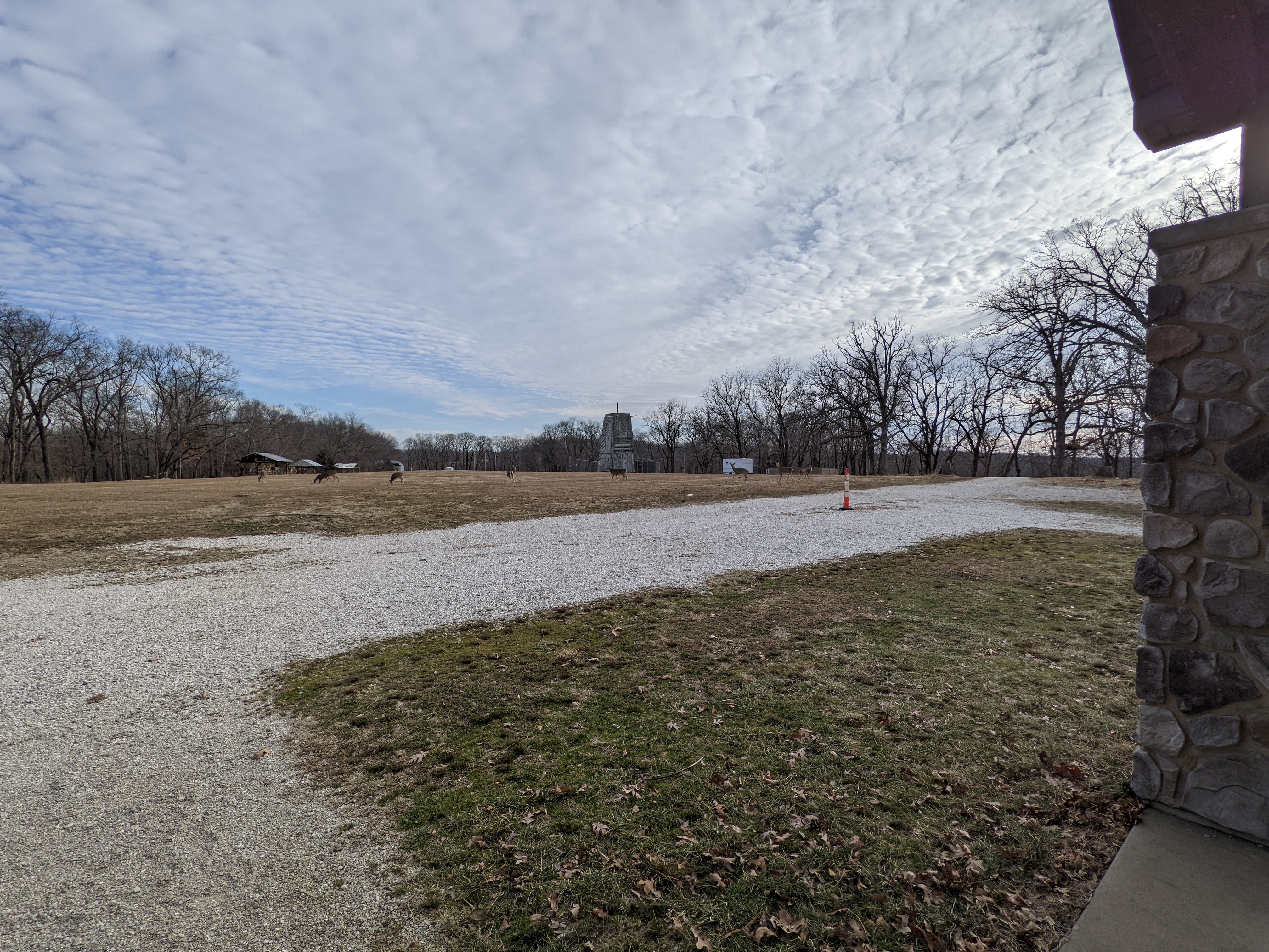 PXL 20220122 153154020