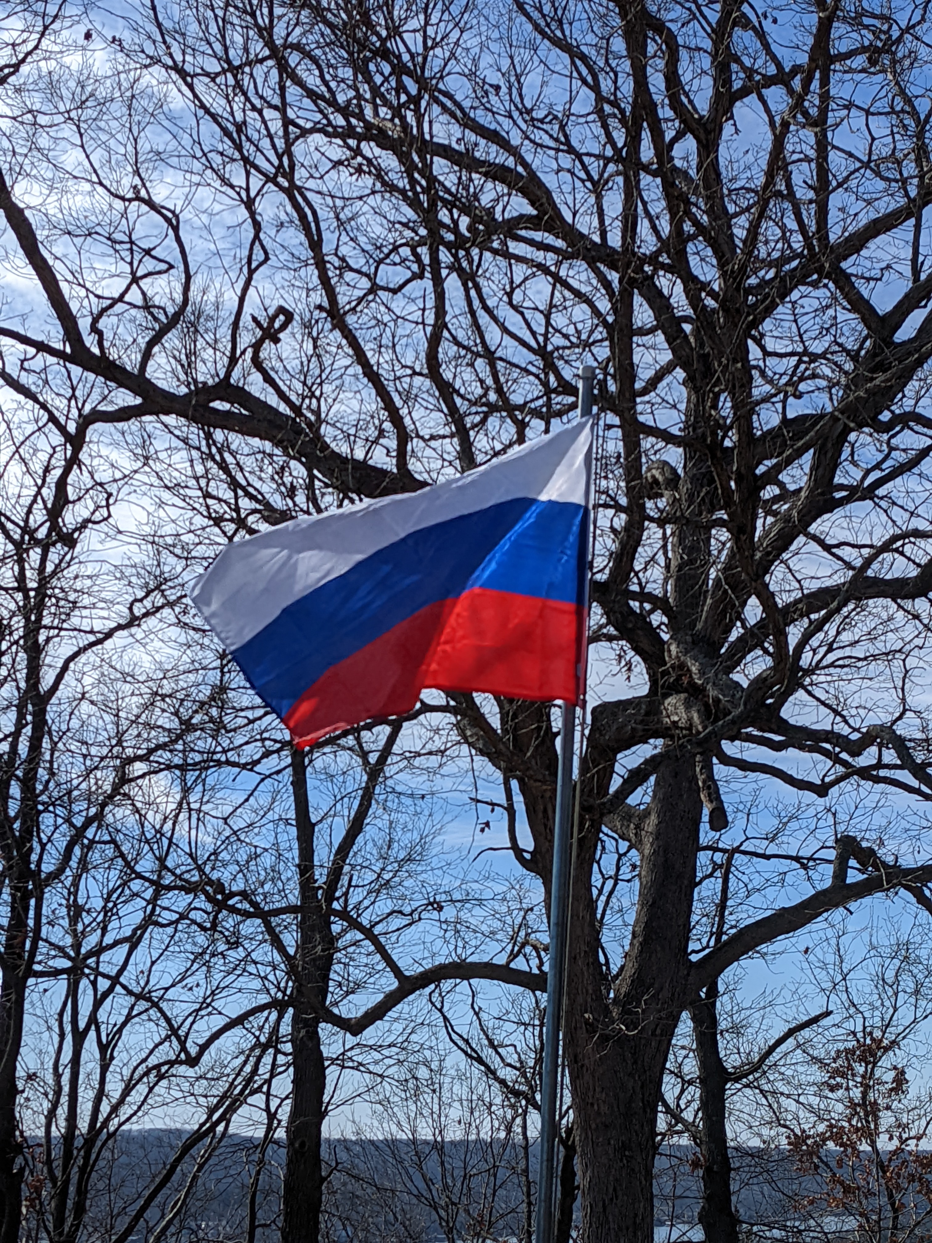 PXL 20220122 181627628