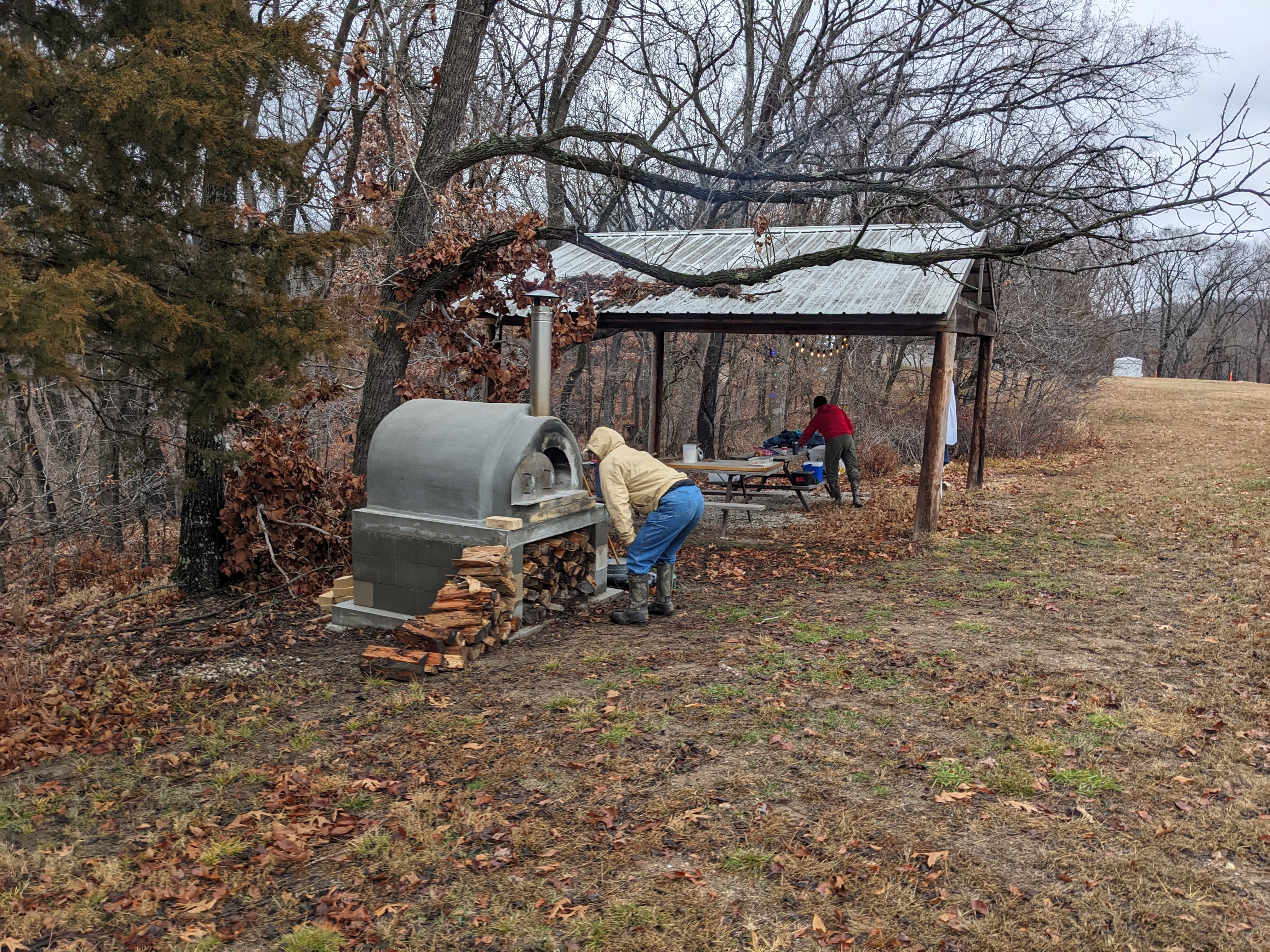 PXL 20231216 205528652