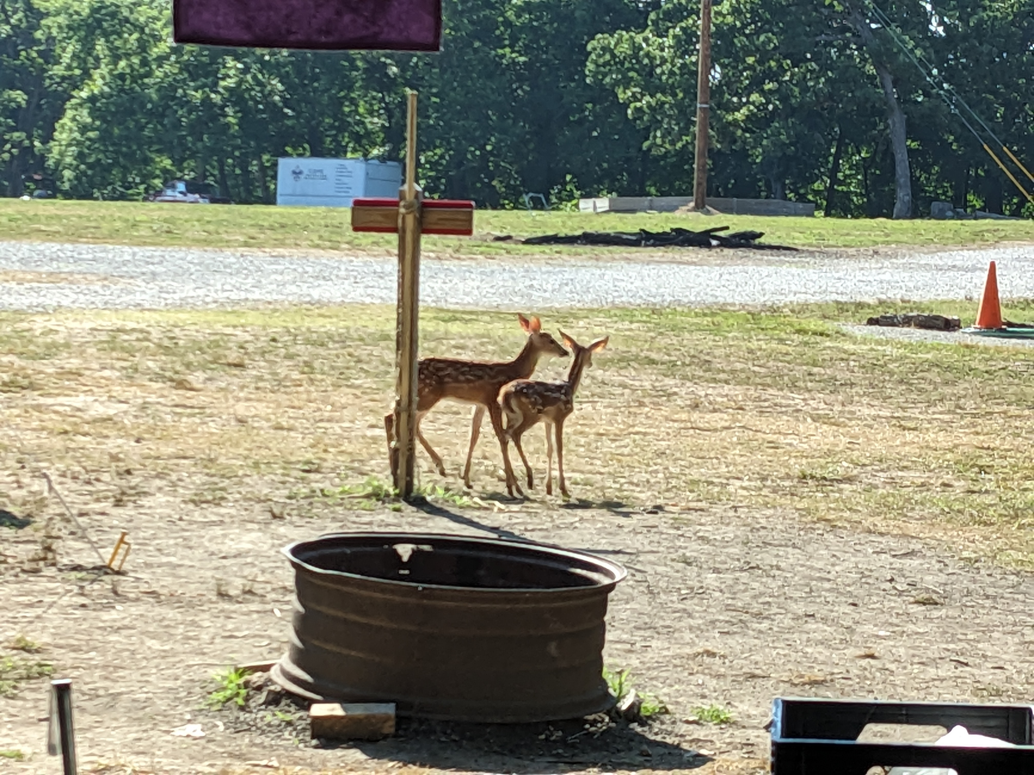 PXL 20230704 141250449