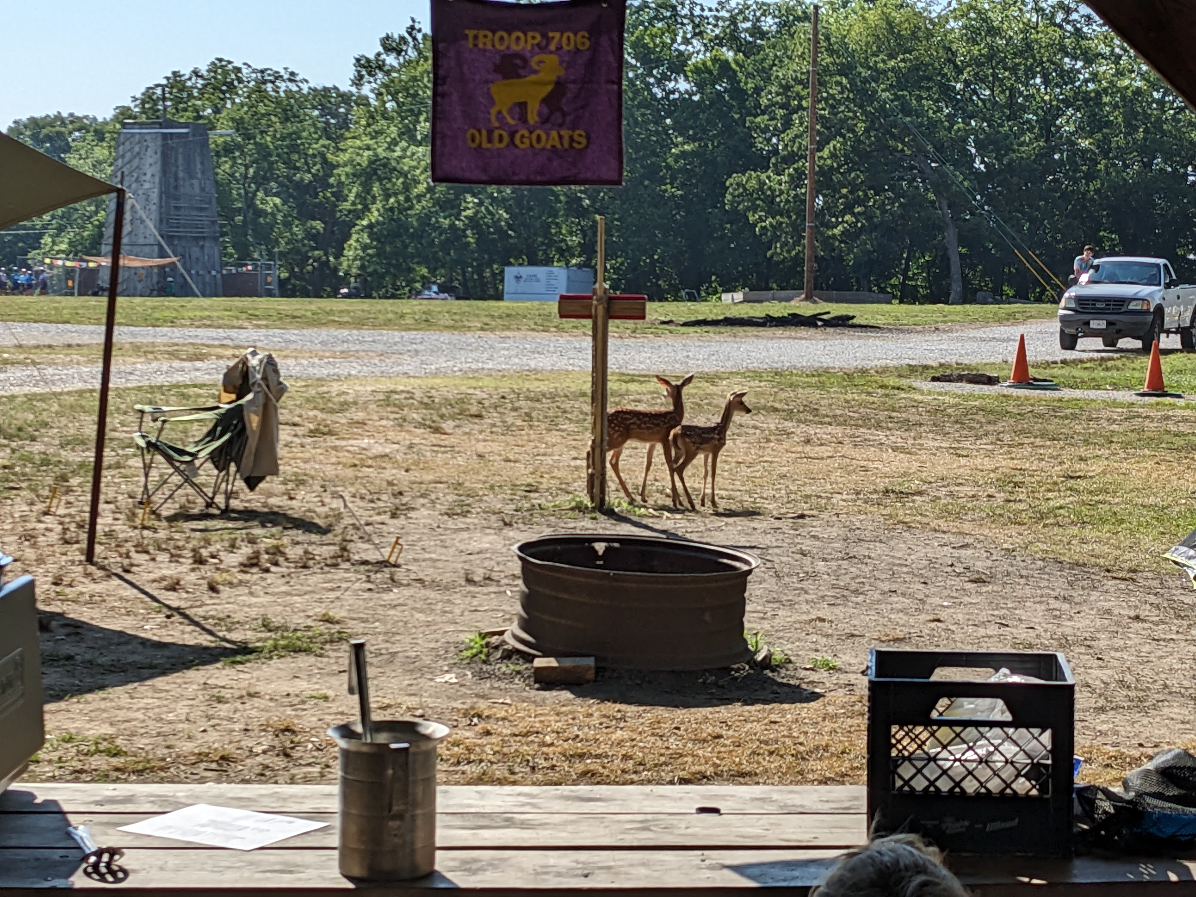 PXL 20230704 141253923