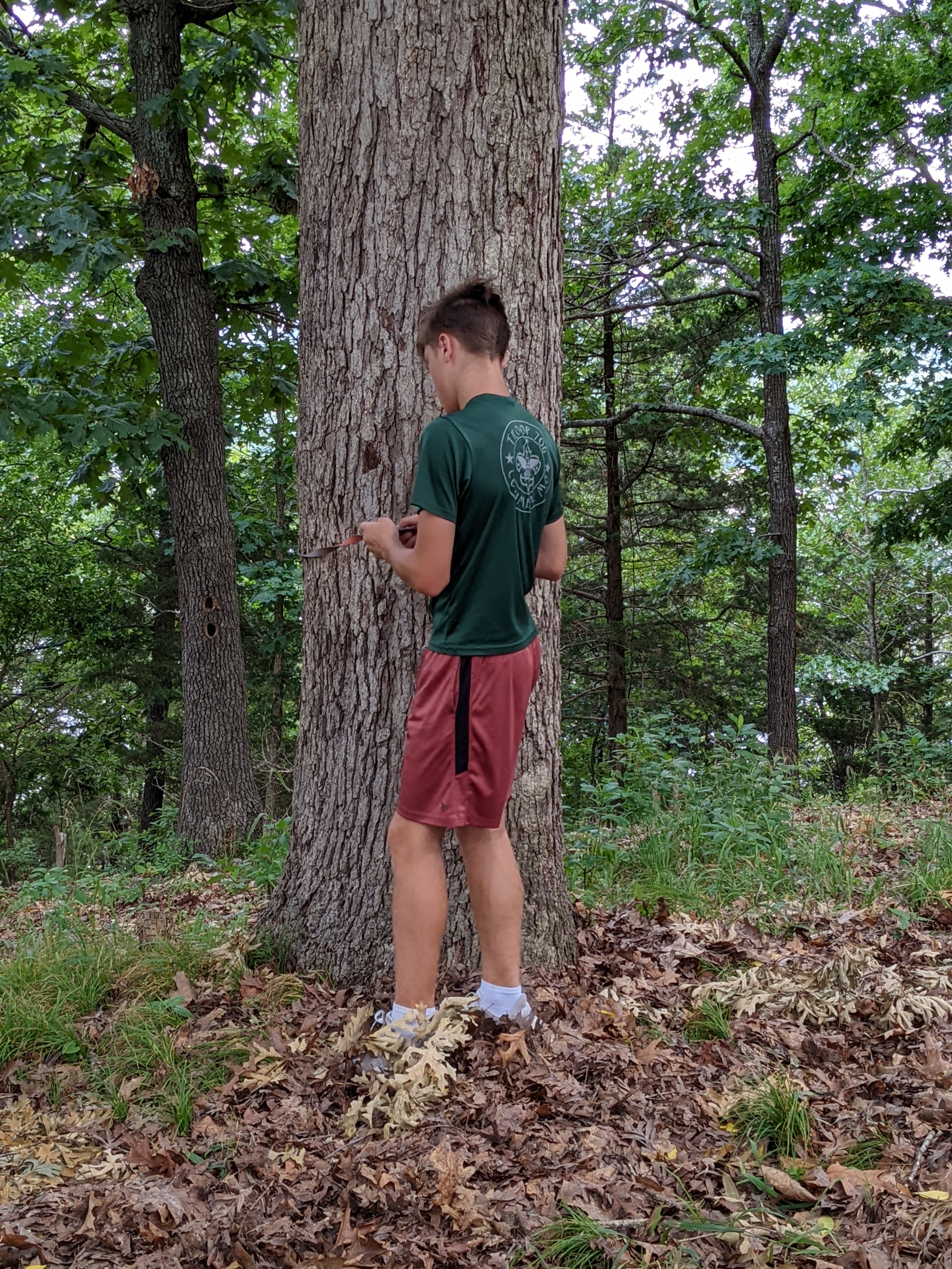 PXL 20220703 152657633