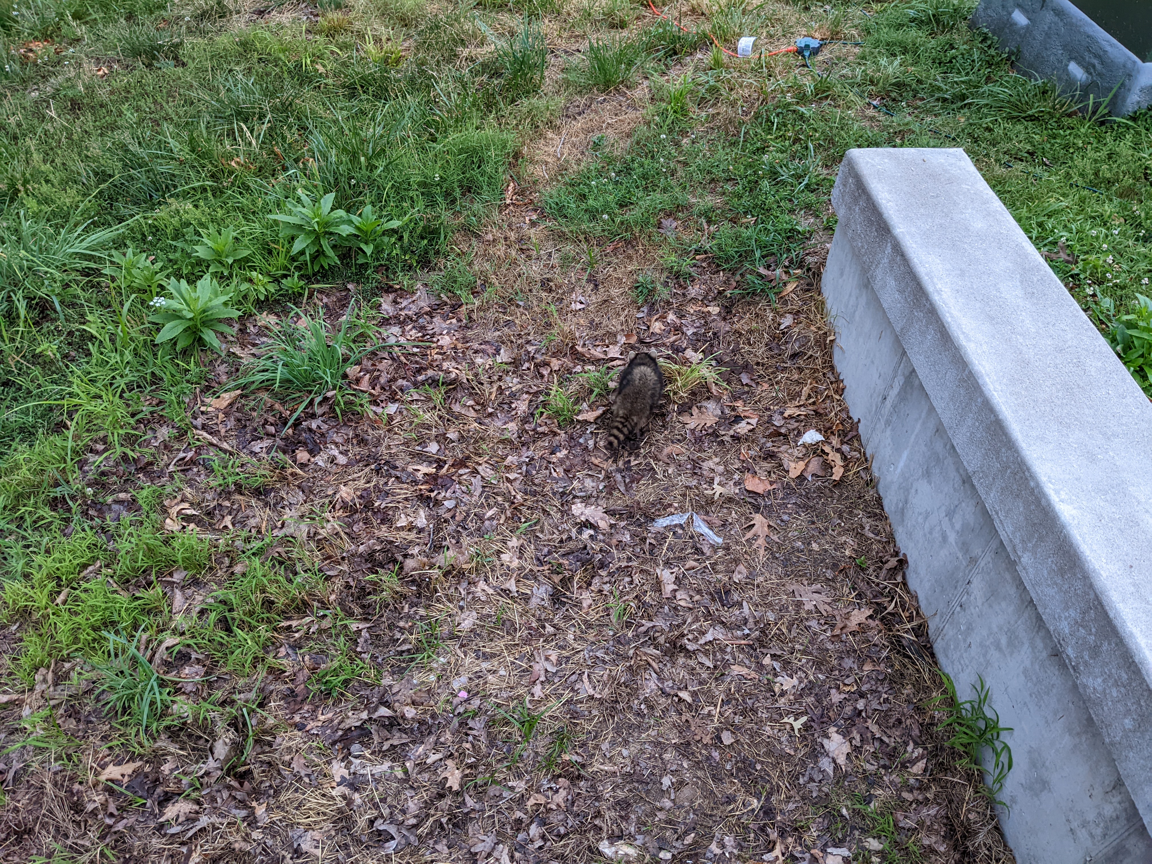 PXL 20220704 011706673