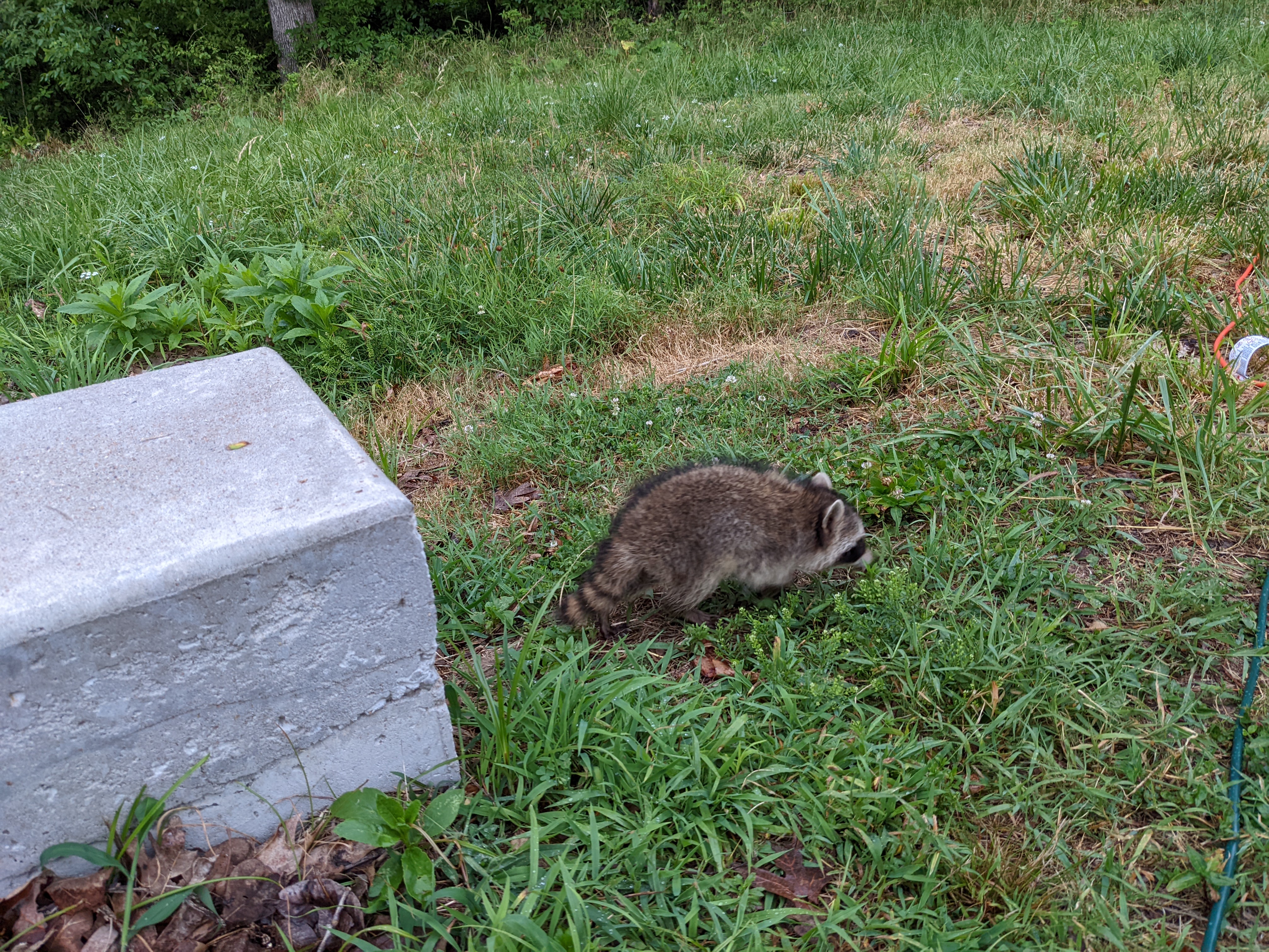 PXL 20220704 011719175