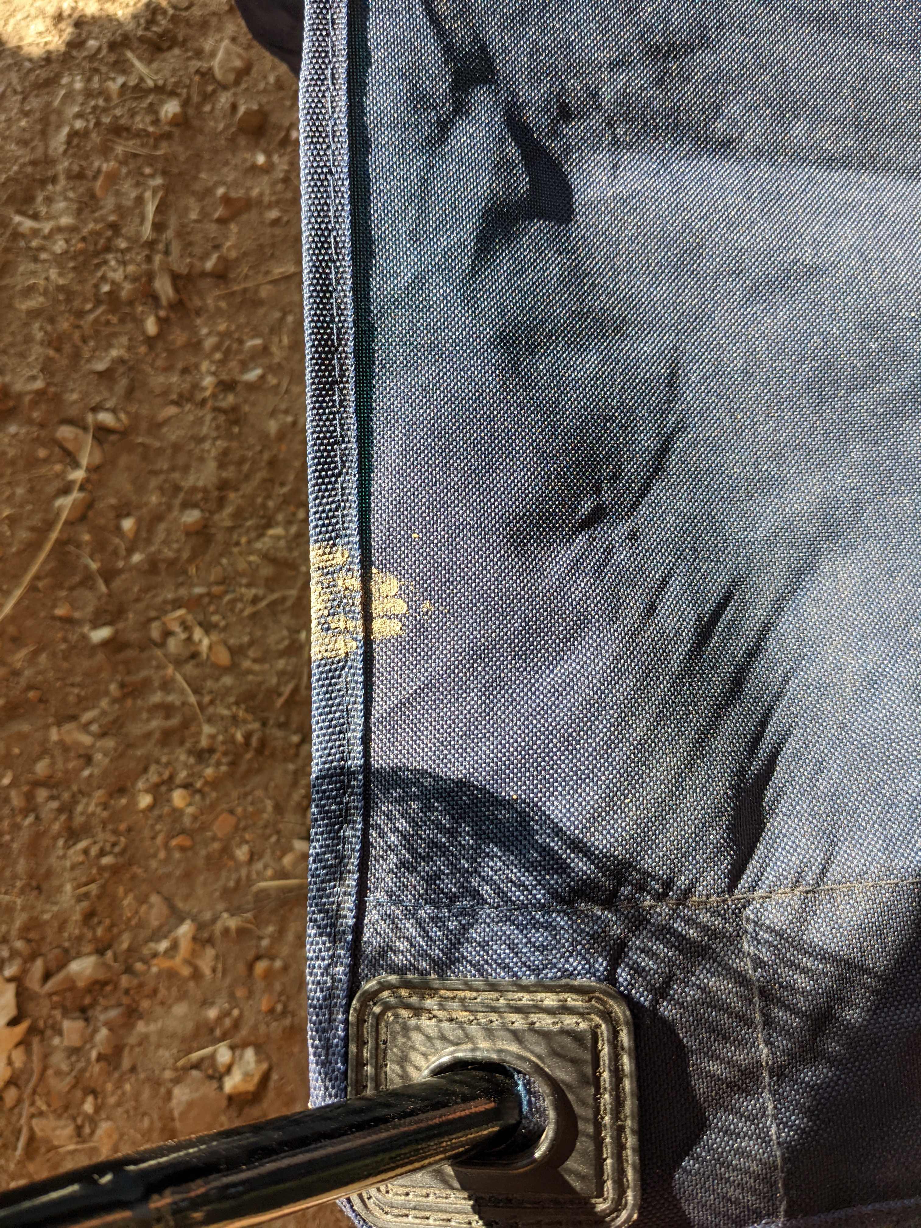 PXL 20220704 132020808.MP