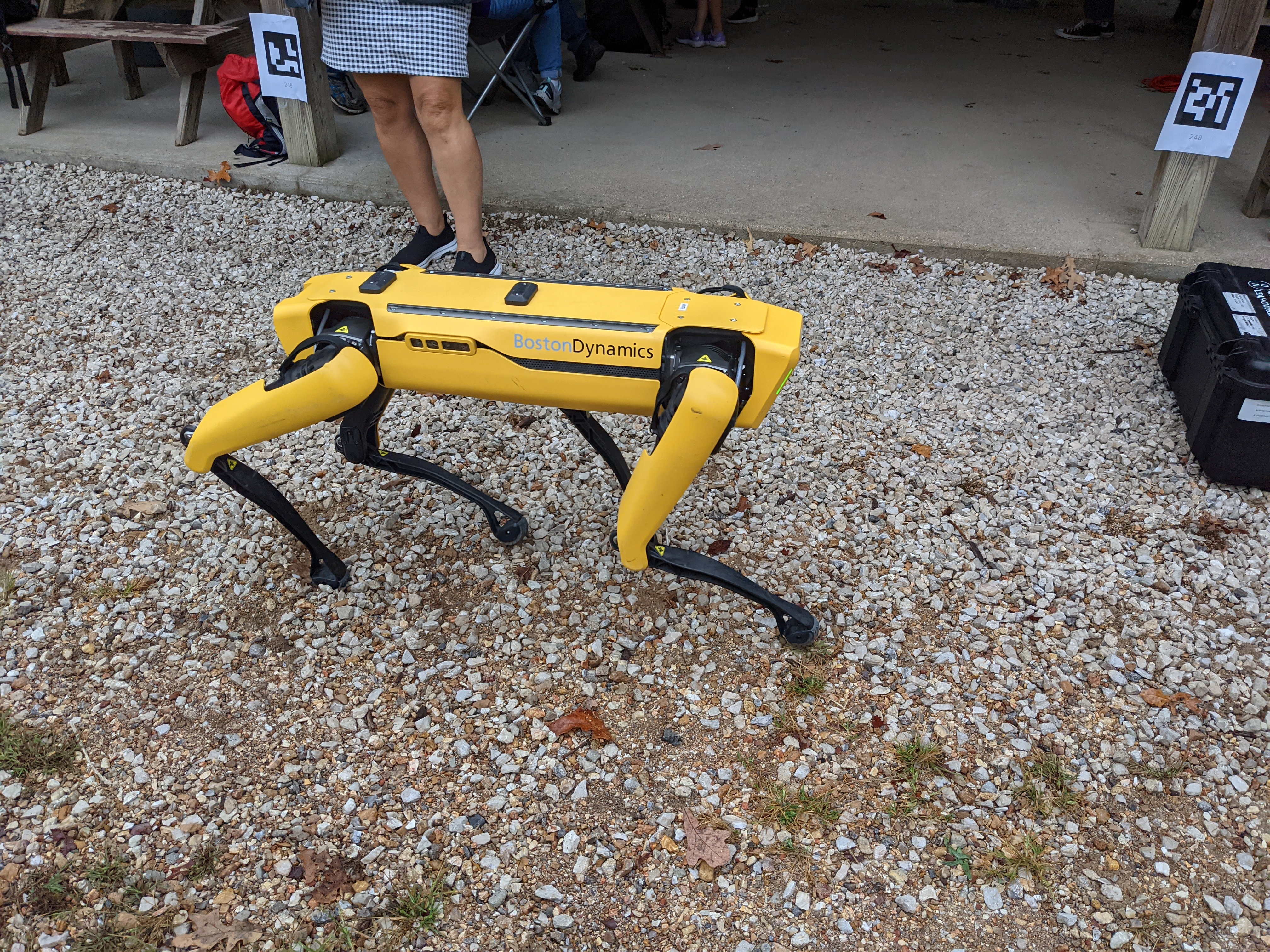 PXL 20211002 155013413.MP