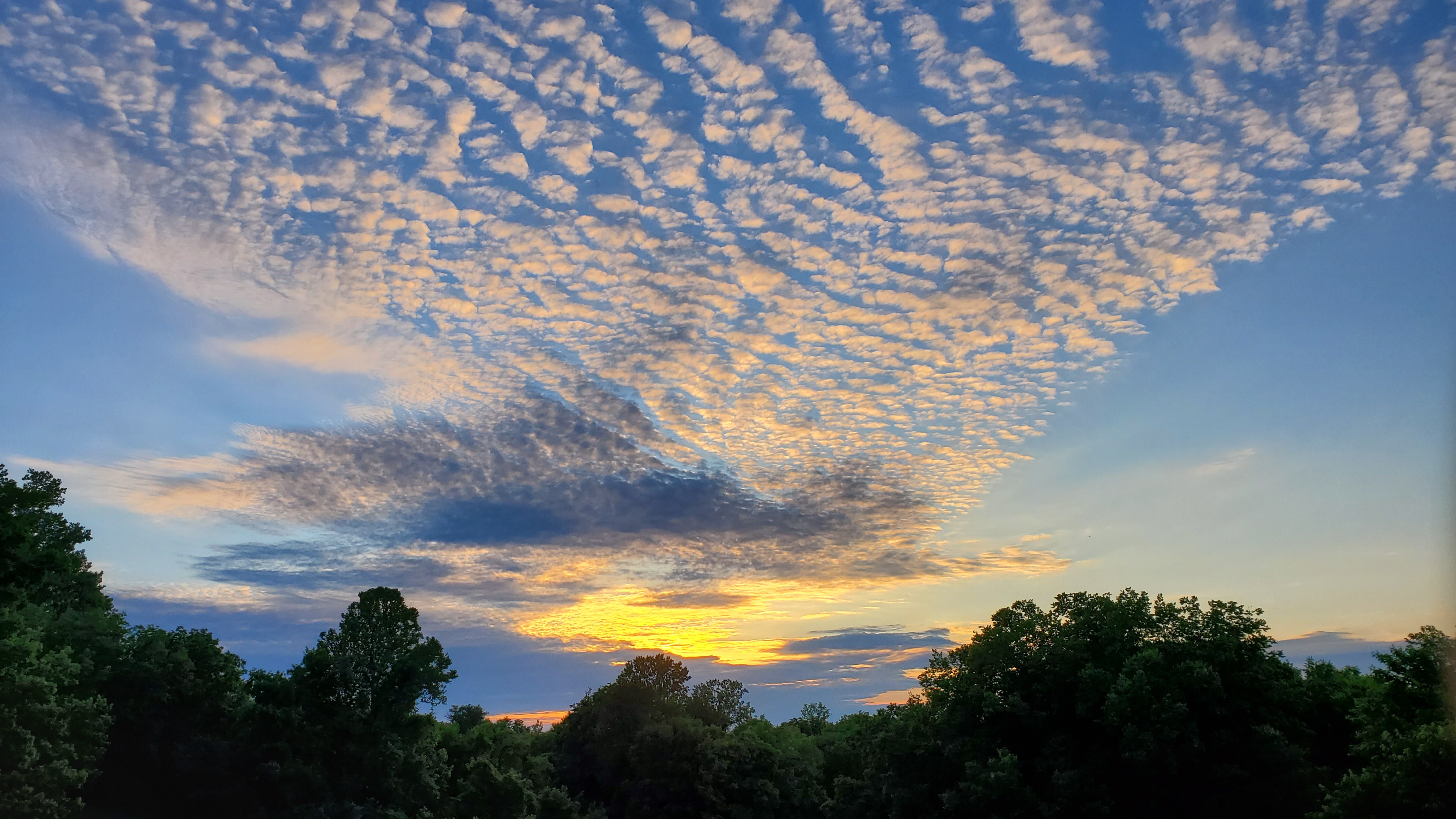 20190617 203025 201961811465363955456