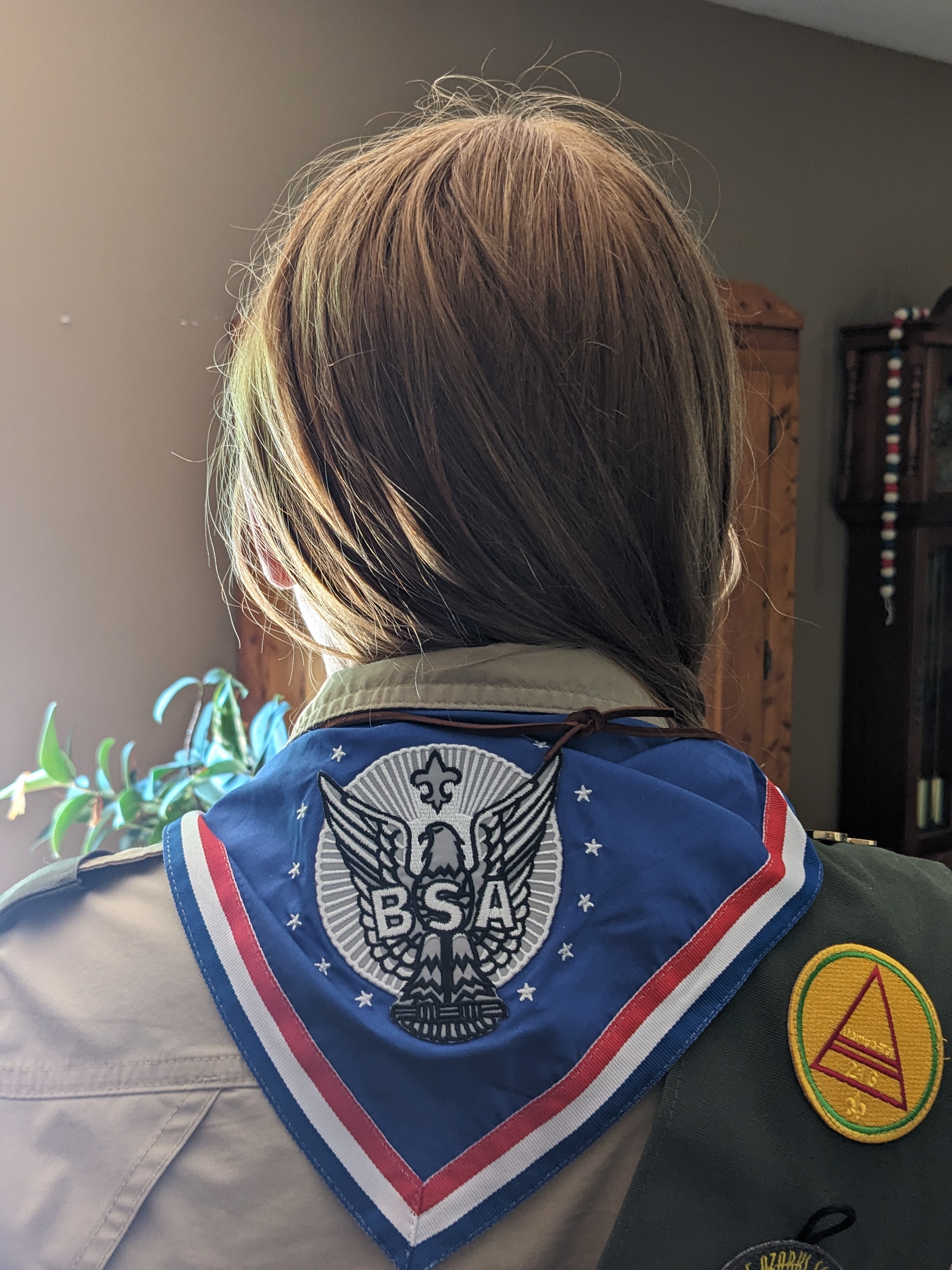 PXL 20240615 184623072