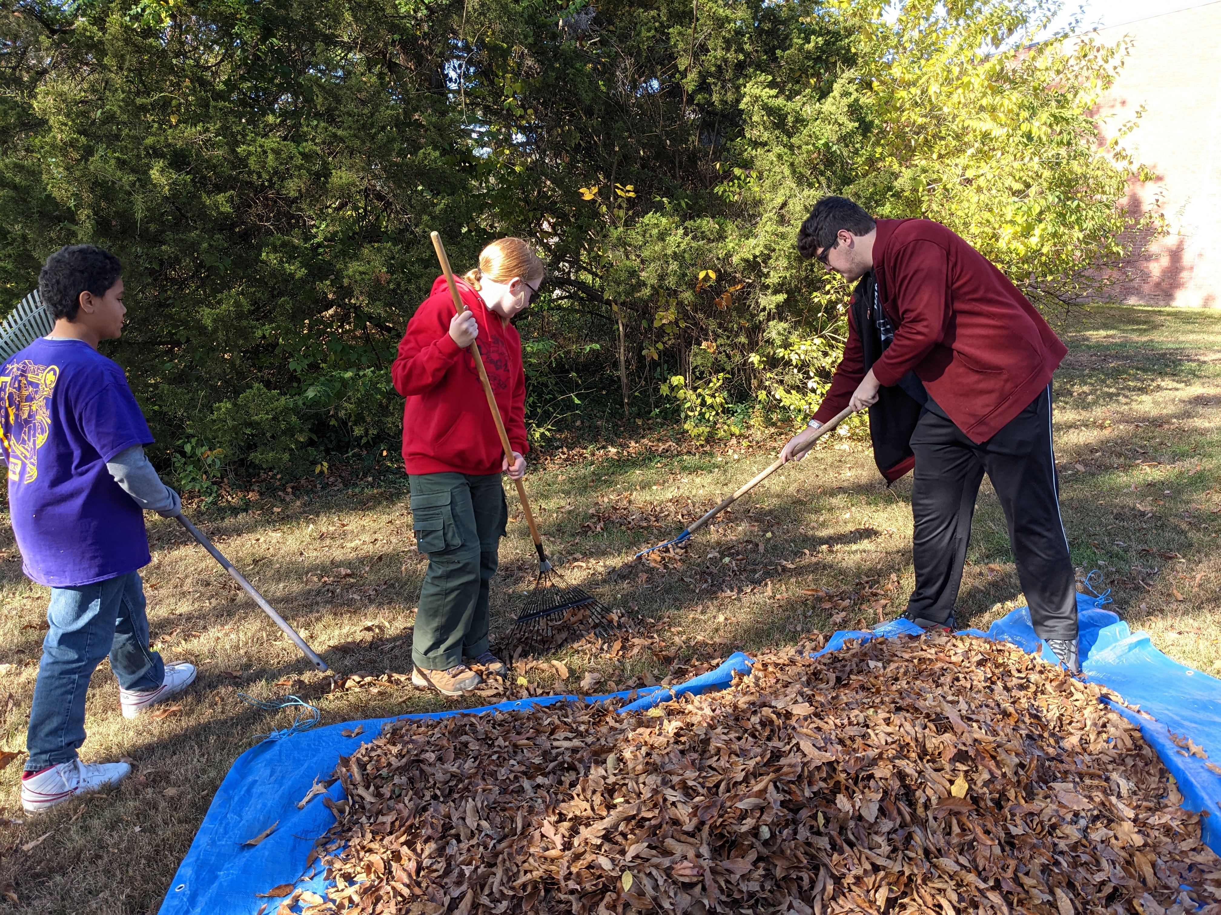 PXL 20211120 182627123.MP