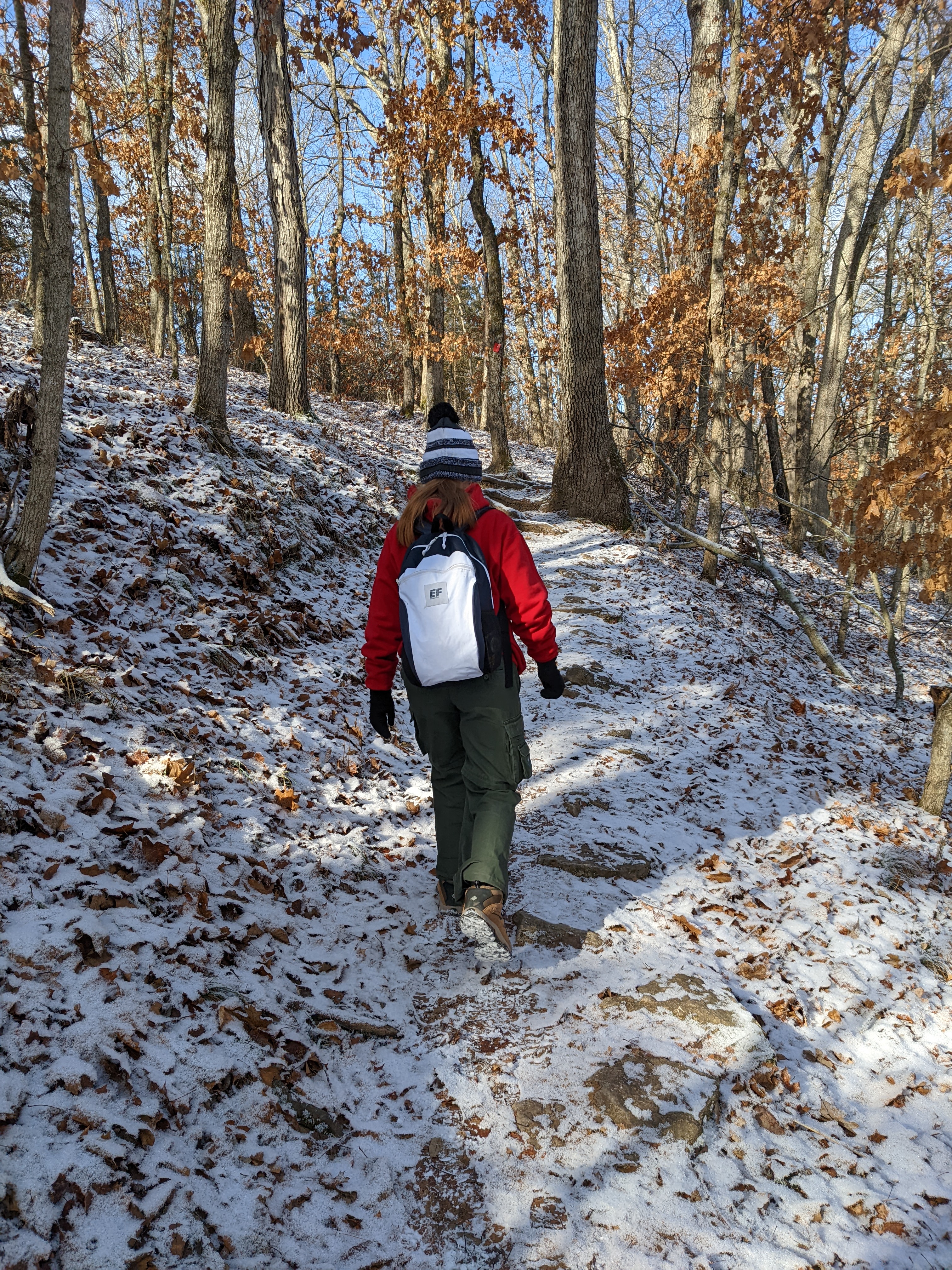 PXL 20220102 182546388