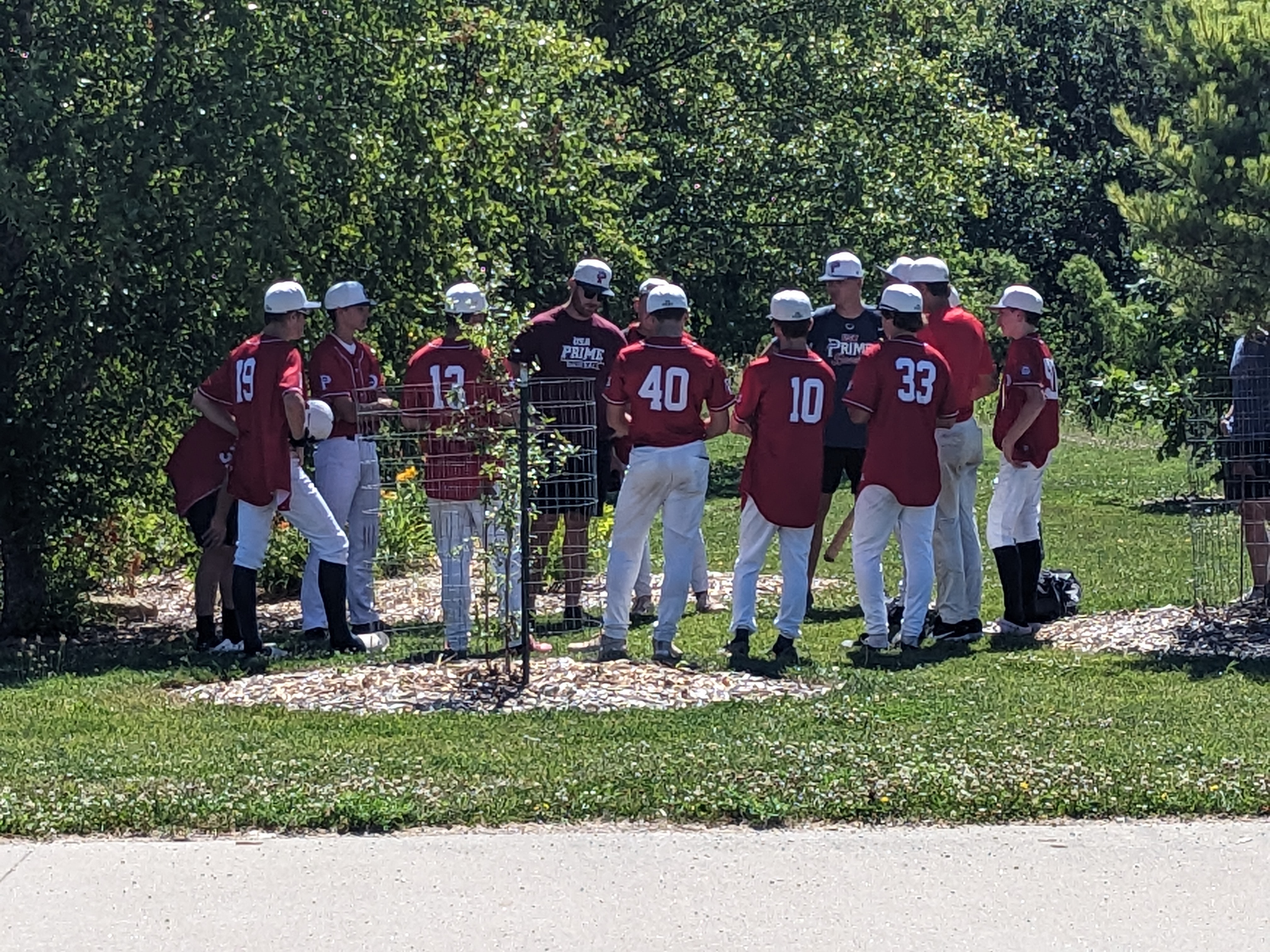 PXL 20240623 153130293