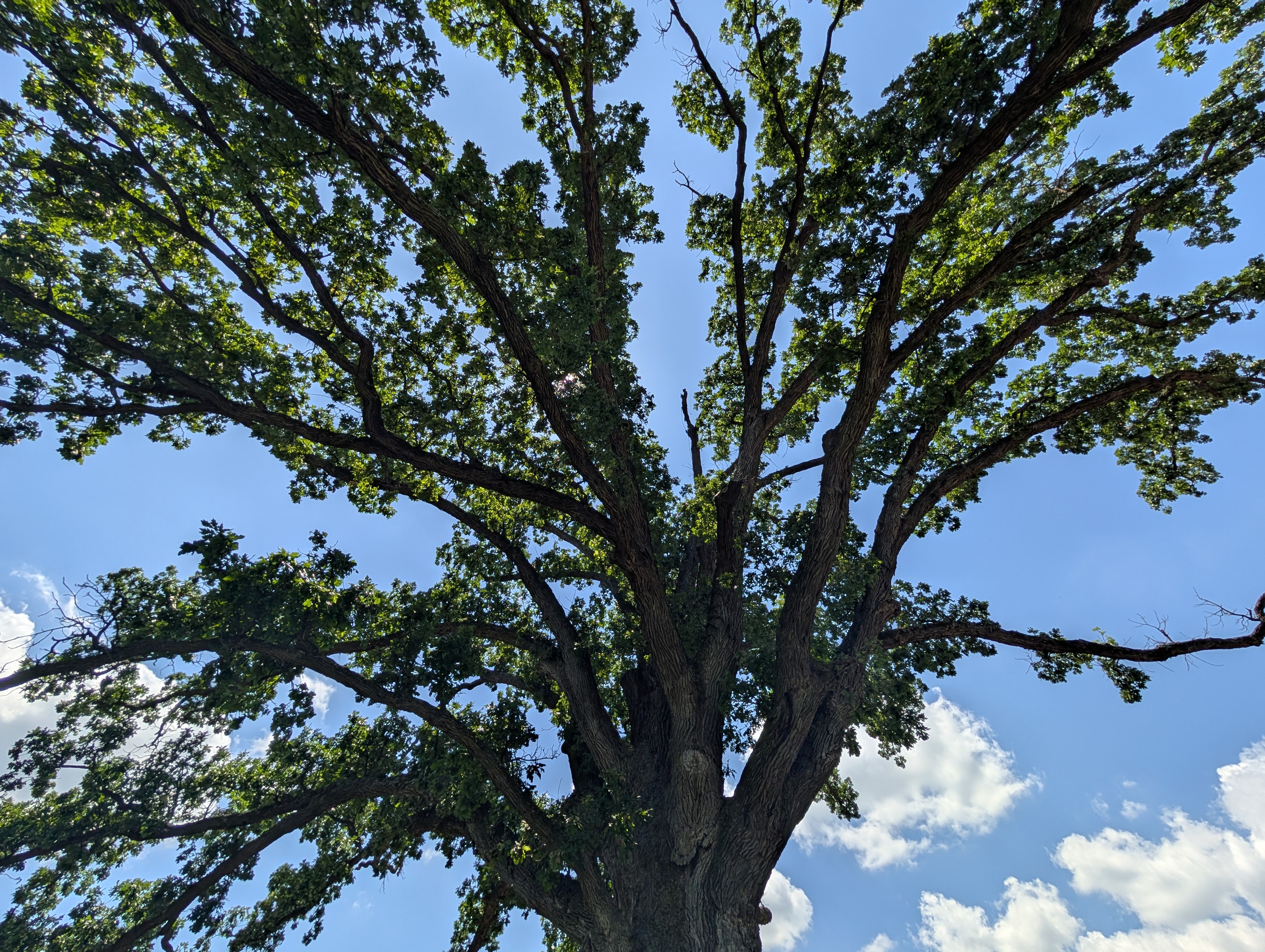 PXL 20250619 185425649