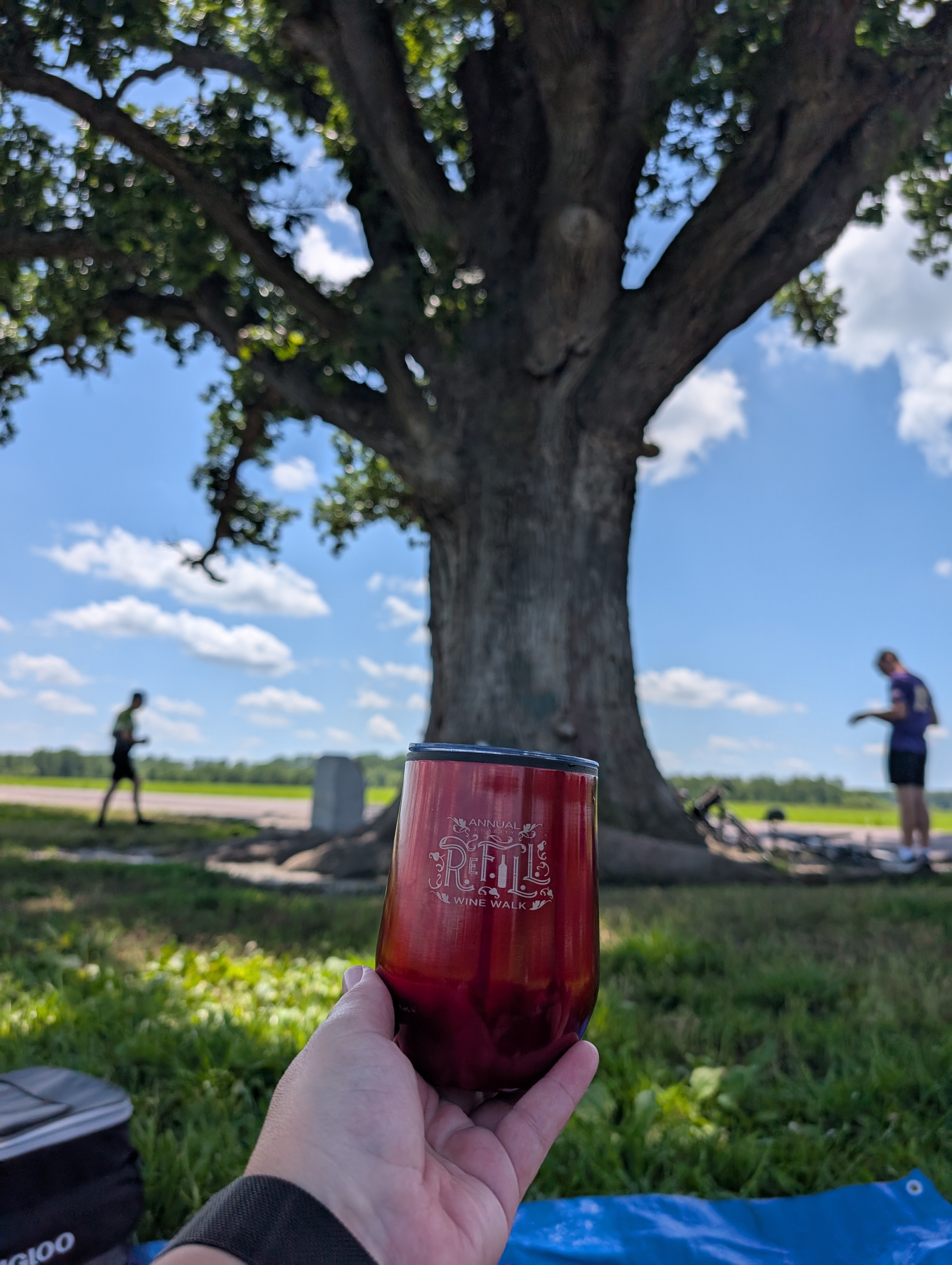 PXL 20250619 190128308